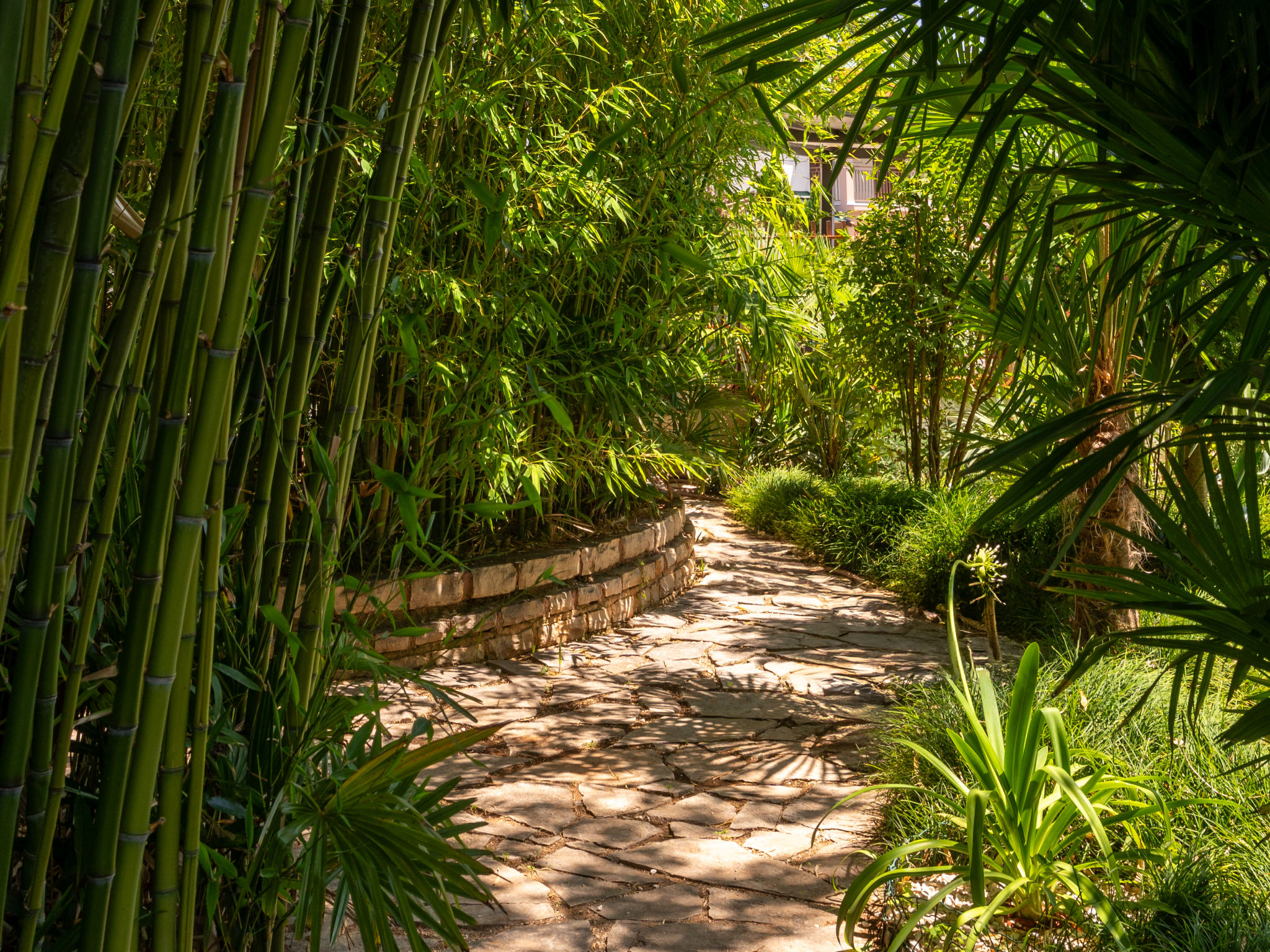 Villa Botanica – Extérieur de la maison, photo 8 sur 43