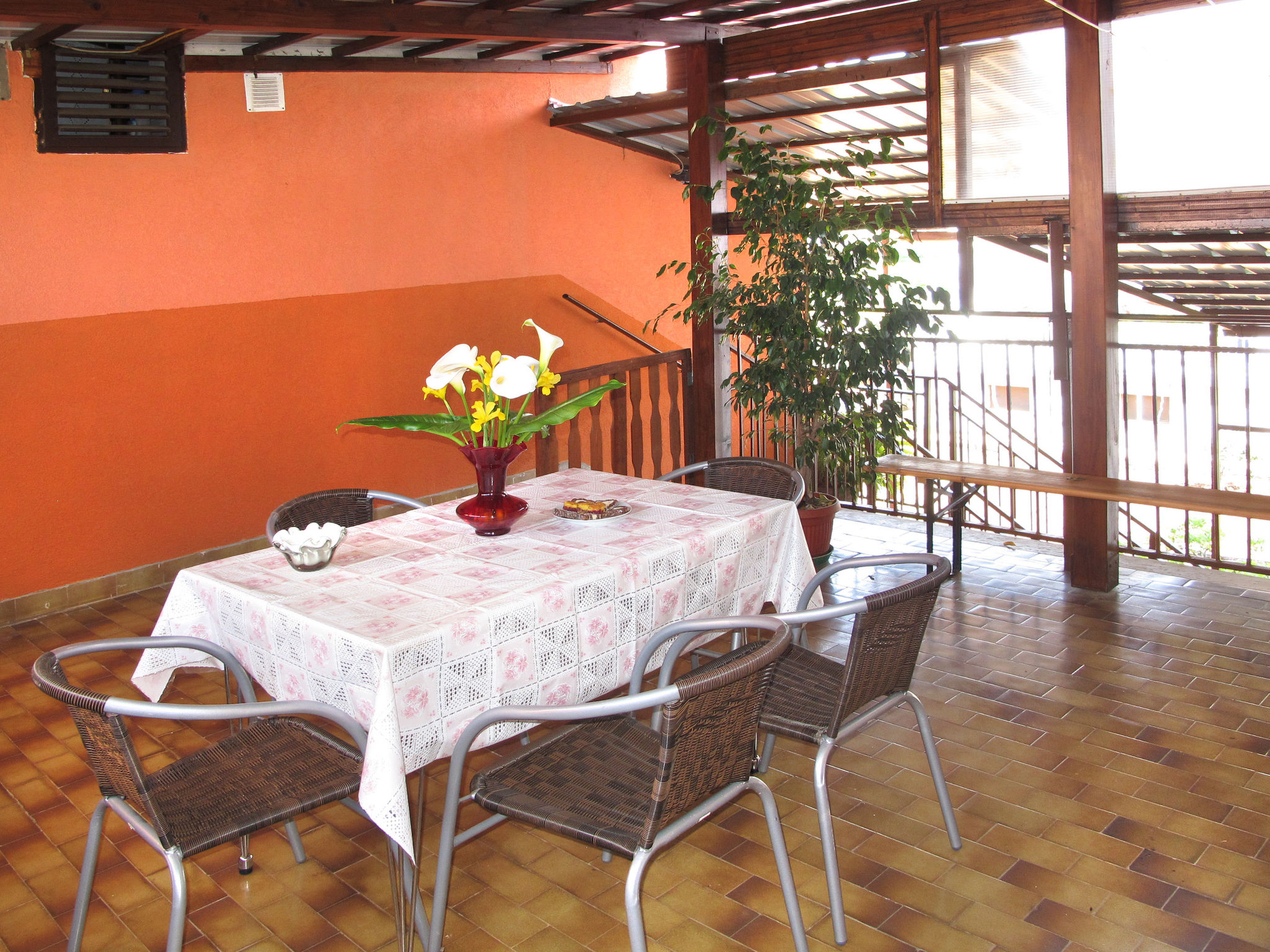 Photo of Lina (PUL305)