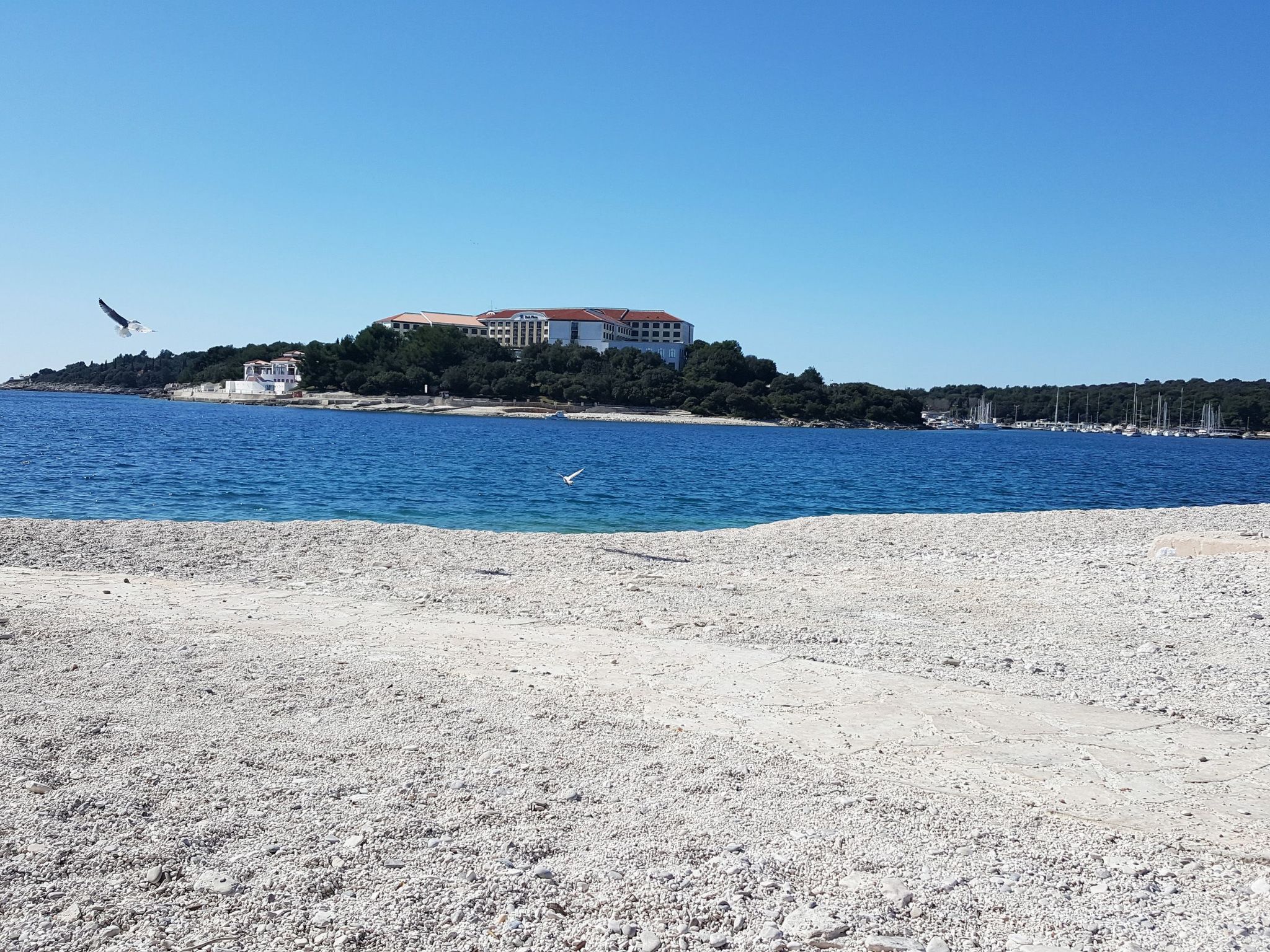 Geräumige charmante Wohnung in der Nähe des Meeres-Dedans