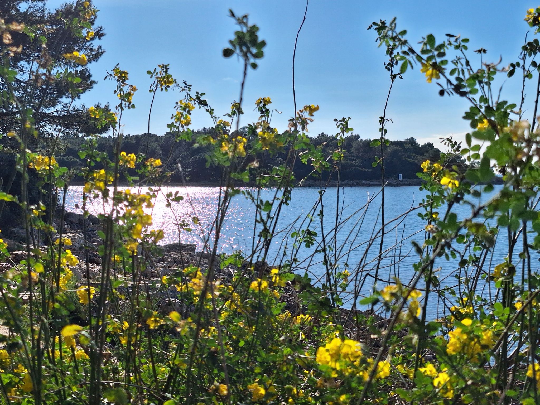 Geräumige charmante Wohnung in der Nähe des Meeres-Dedans