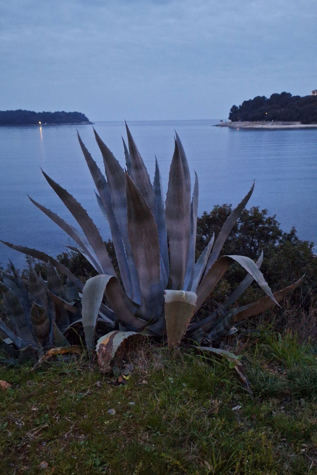 Geräumige charmante Wohnung in der Nähe des Meeres-Dedans