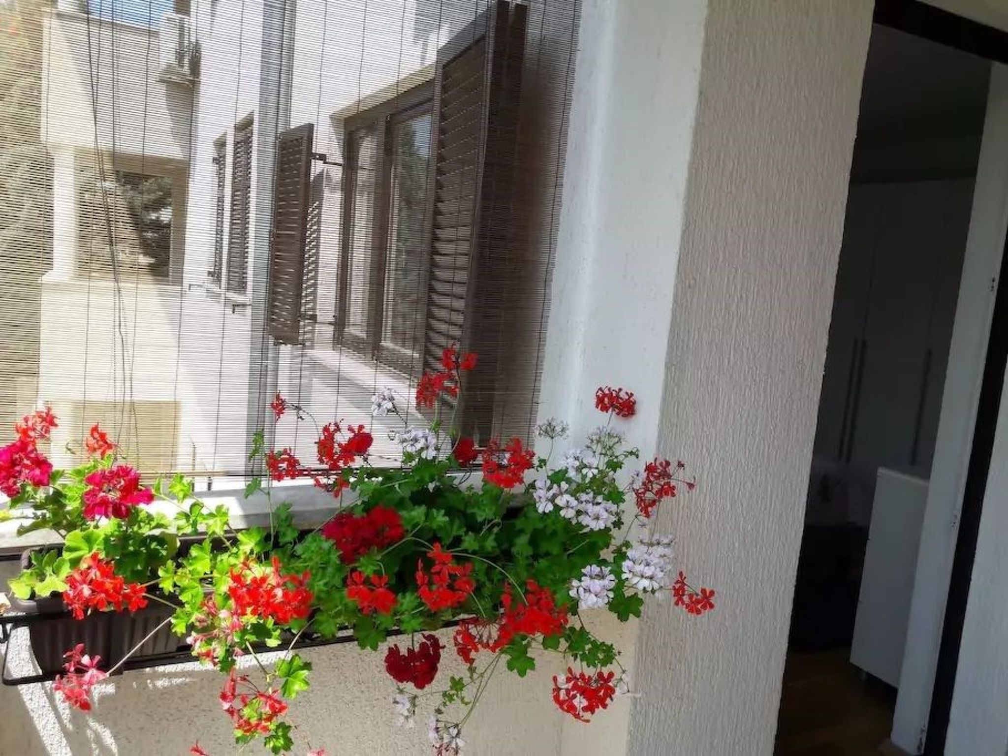 Wohnung mit Garten in der Nähe des Zentrums-Binnen