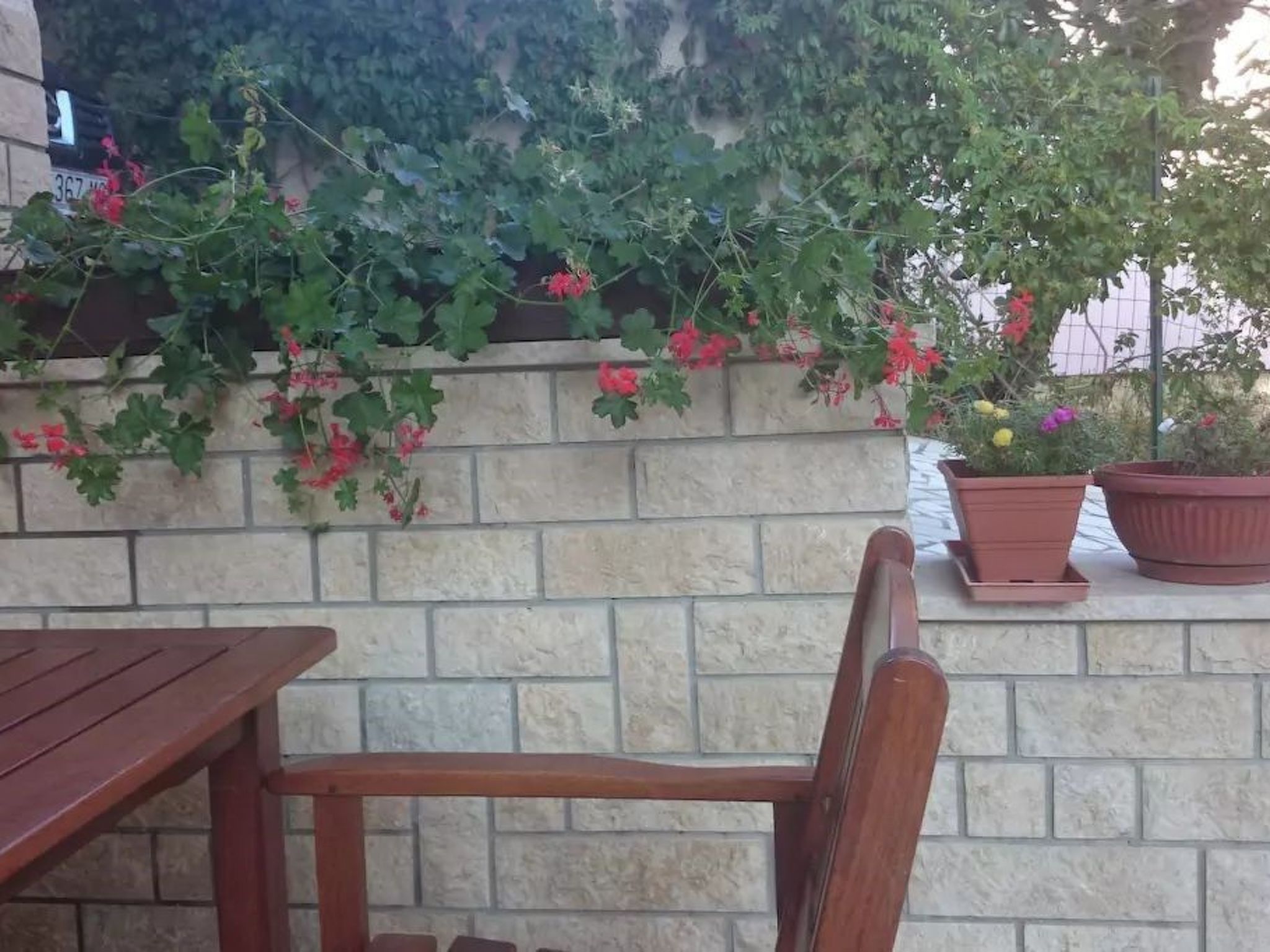 Wohnung mit Garten in der Nähe des Zentrums-Binnen