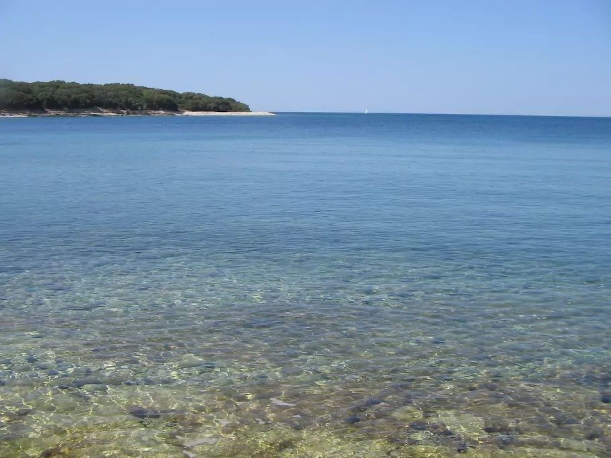 Wohnung mit Garten in der Nähe des Zentrums-Binnen