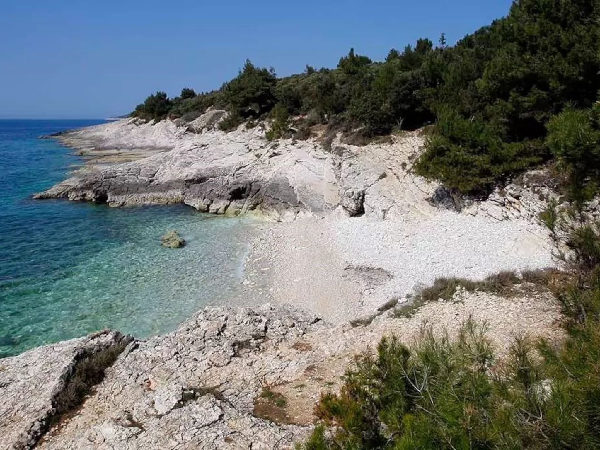 Wohnung mit Garten in der Nähe des Zentrums-Binnen