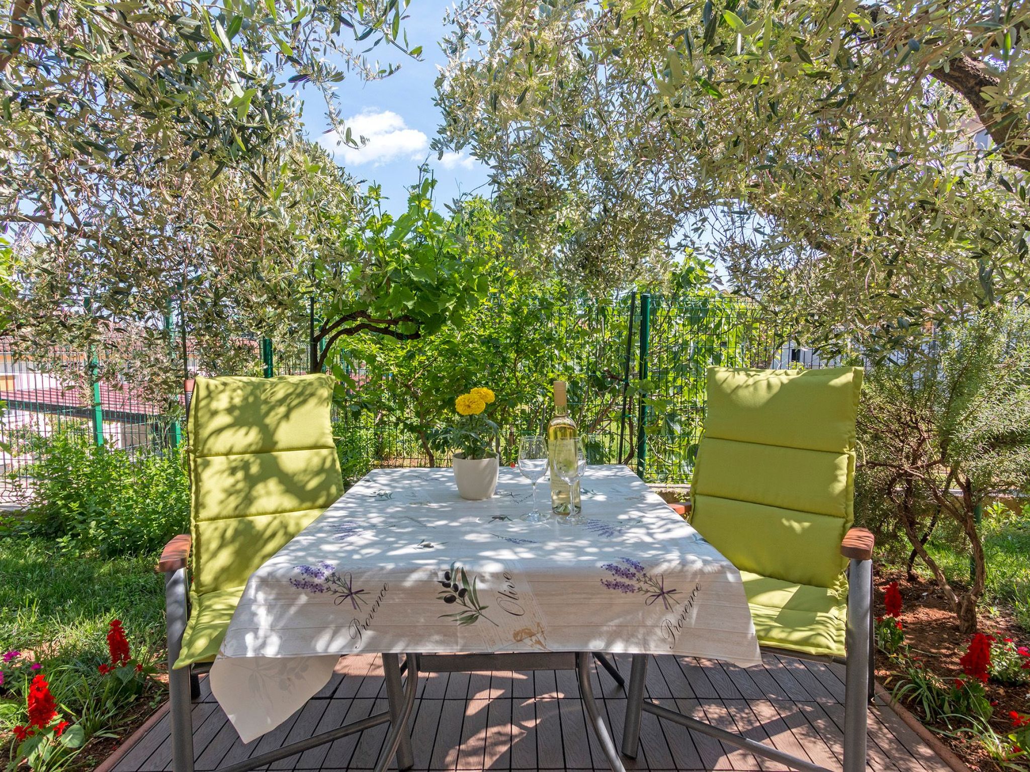 Photo of Studio Oliva ****