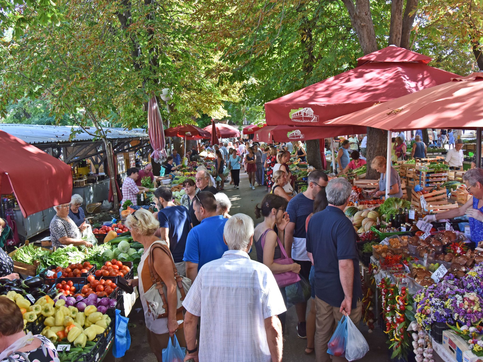 Photo of Summerhouse Pula