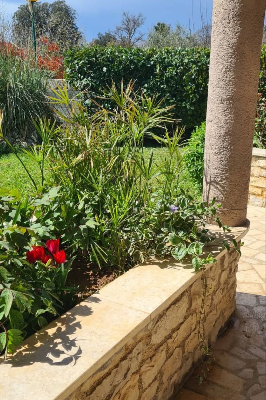 Photo of Wohnung "Eric" mit Garten, Grill und Terrasse