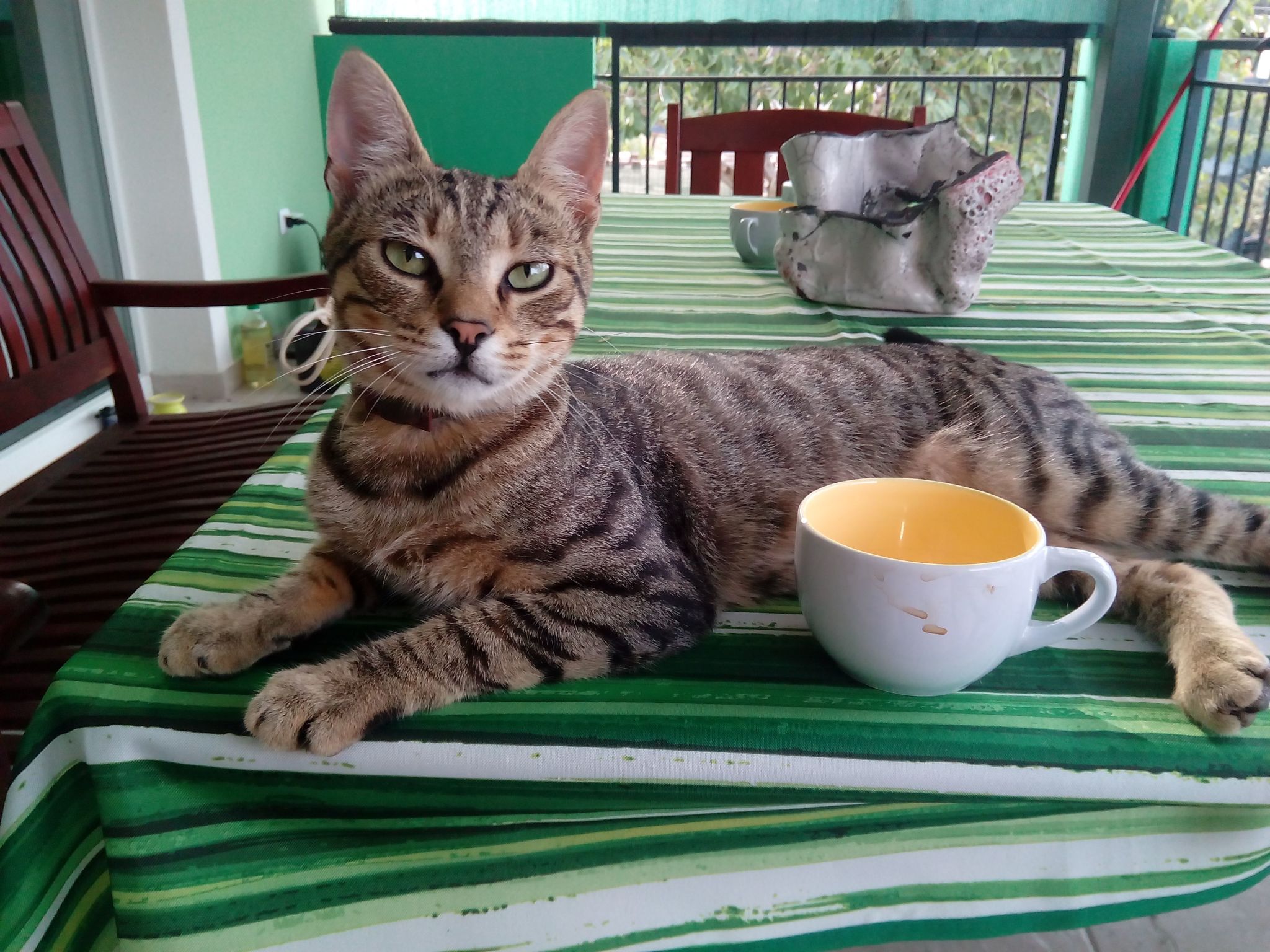 Photo of Erdgeschoss mit Schwimmbad