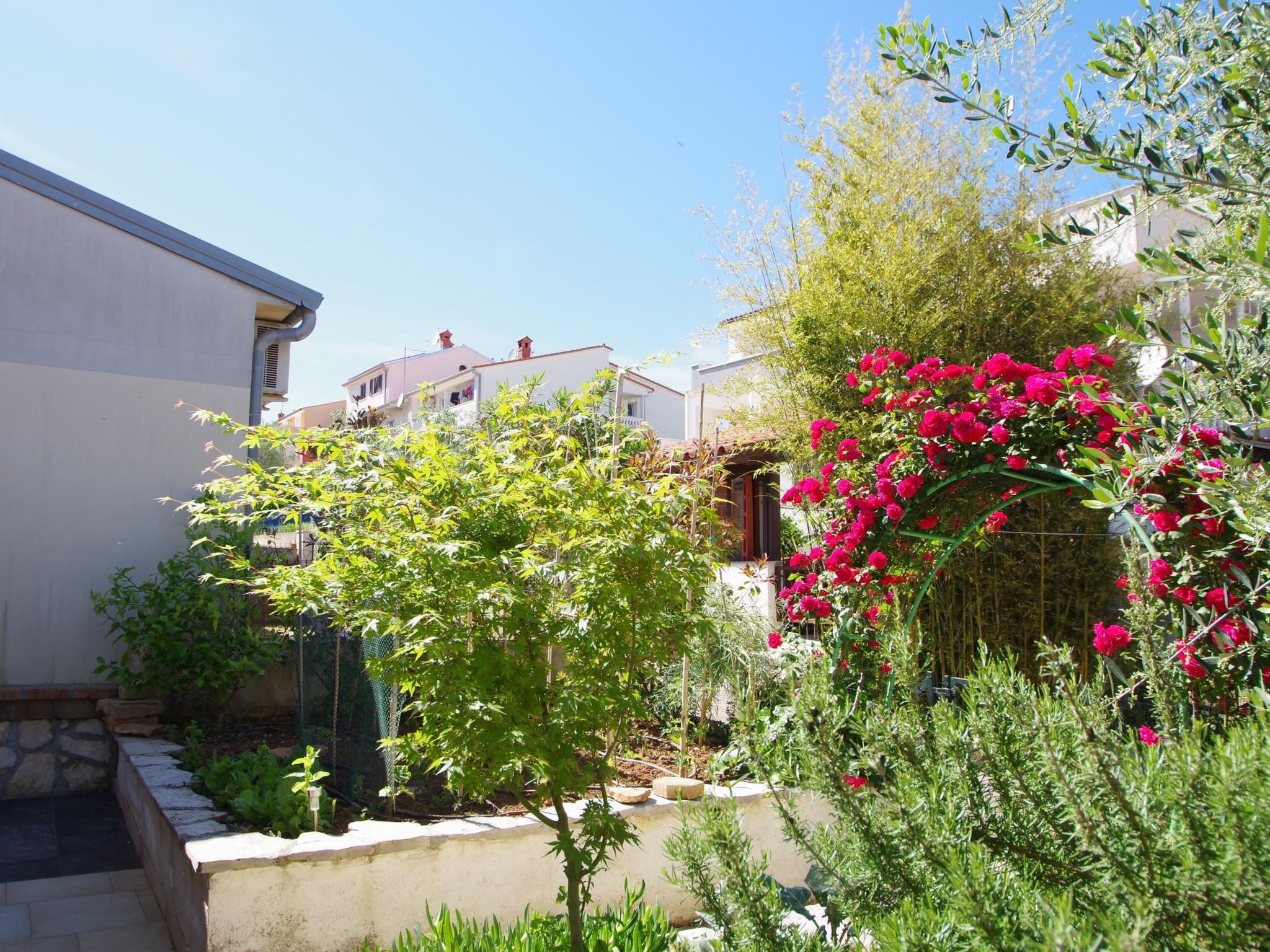 "Rose" mit Terrasse-Buiten