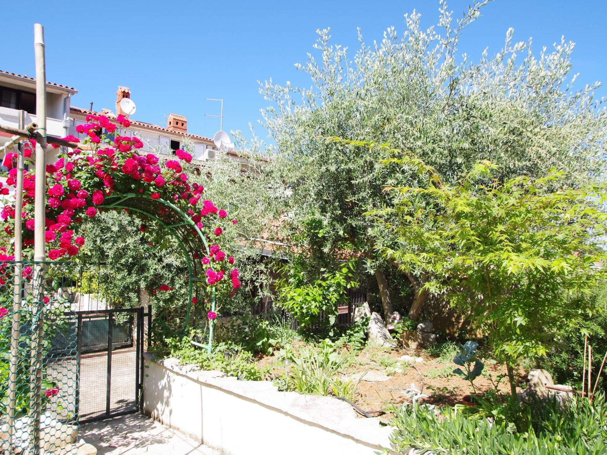 "Rose" mit Terrasse-Image-tags.info