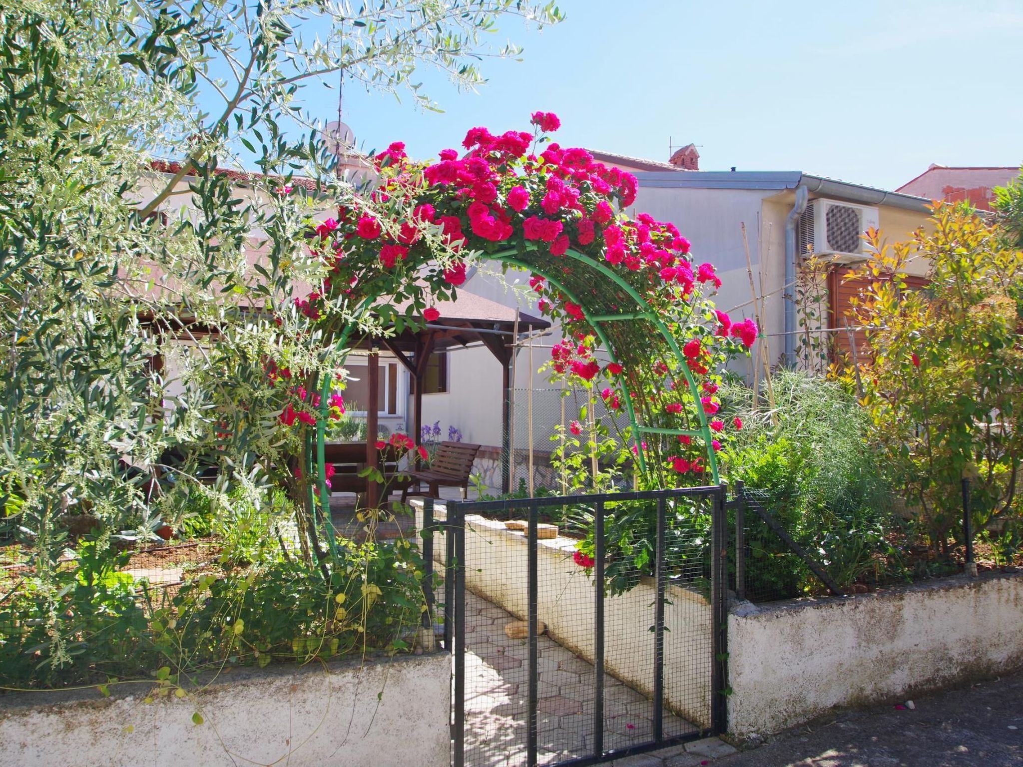 Photo of "Rose" mit Terrasse