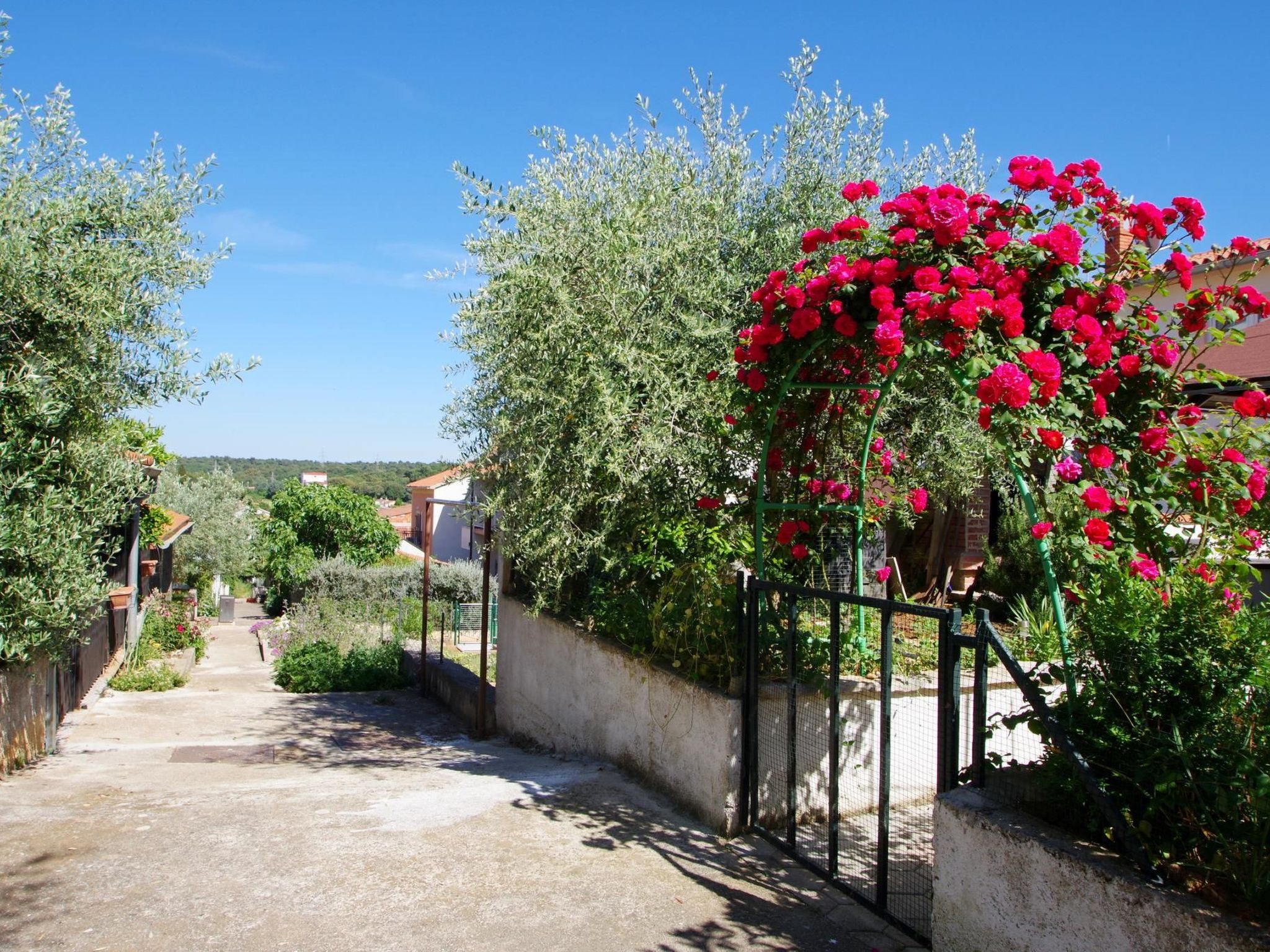Photo of "Rose" mit Terrasse