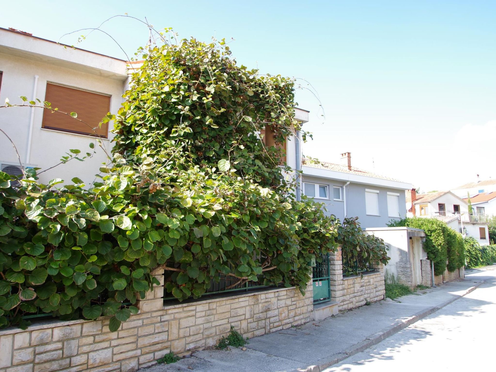 Photo of "Gortanova" mit privatem Balkon