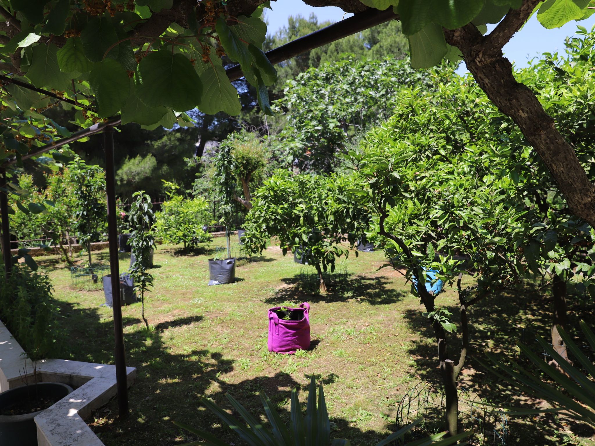 Gemütliche Wohnung mit Gartenblick-Buiten