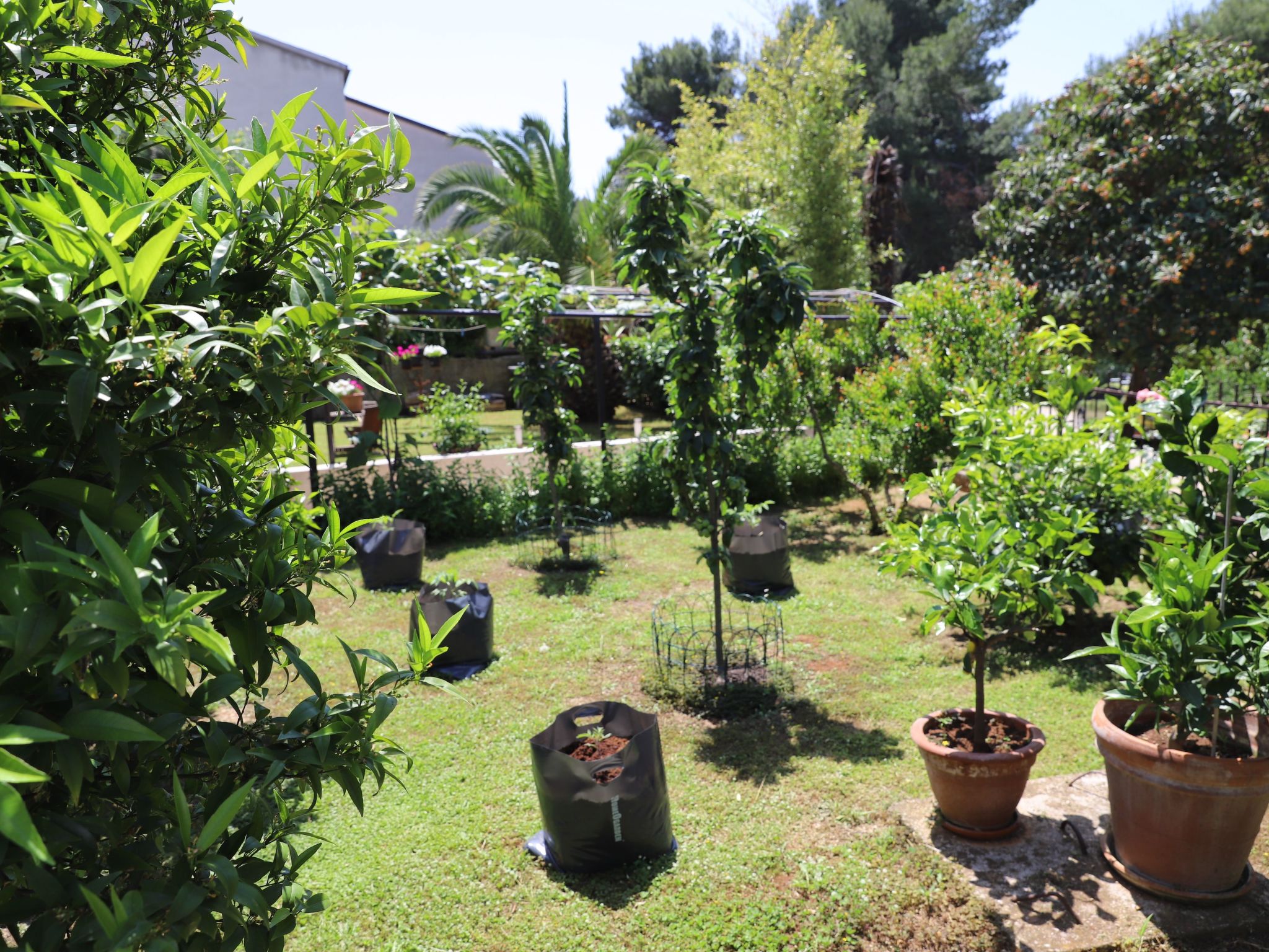 Gemütliche Wohnung mit Gartenblick-Buiten