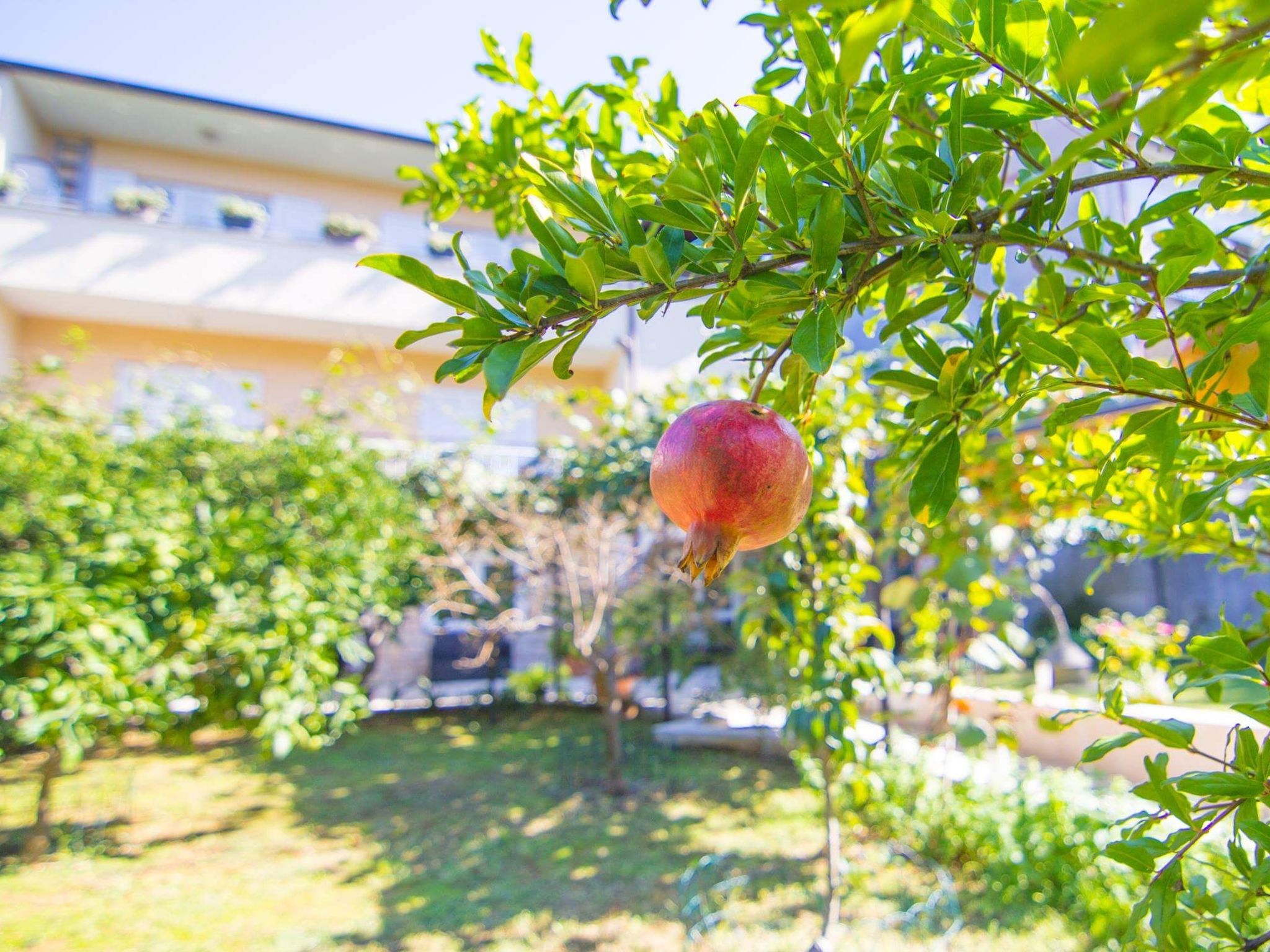 Photo of Gemütliche Wohnung mit Gartenblick
