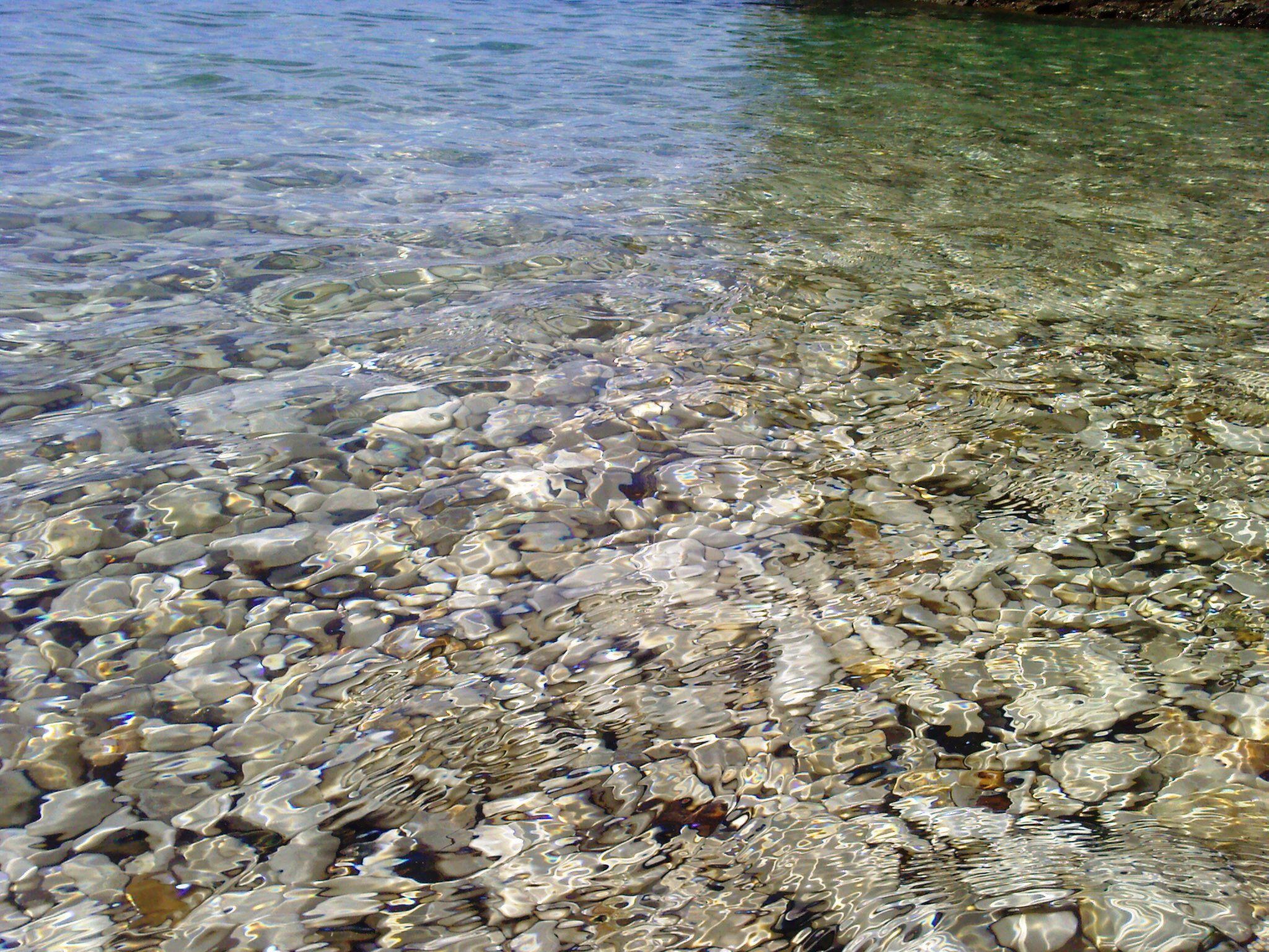 Photo of Gemütliche Wohnung mit Gartenblick