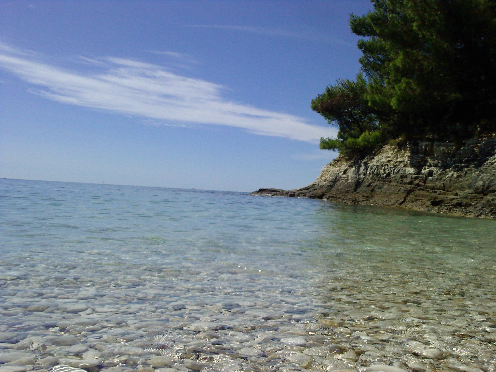 Photo of Gemütliche Wohnung mit Gartenblick