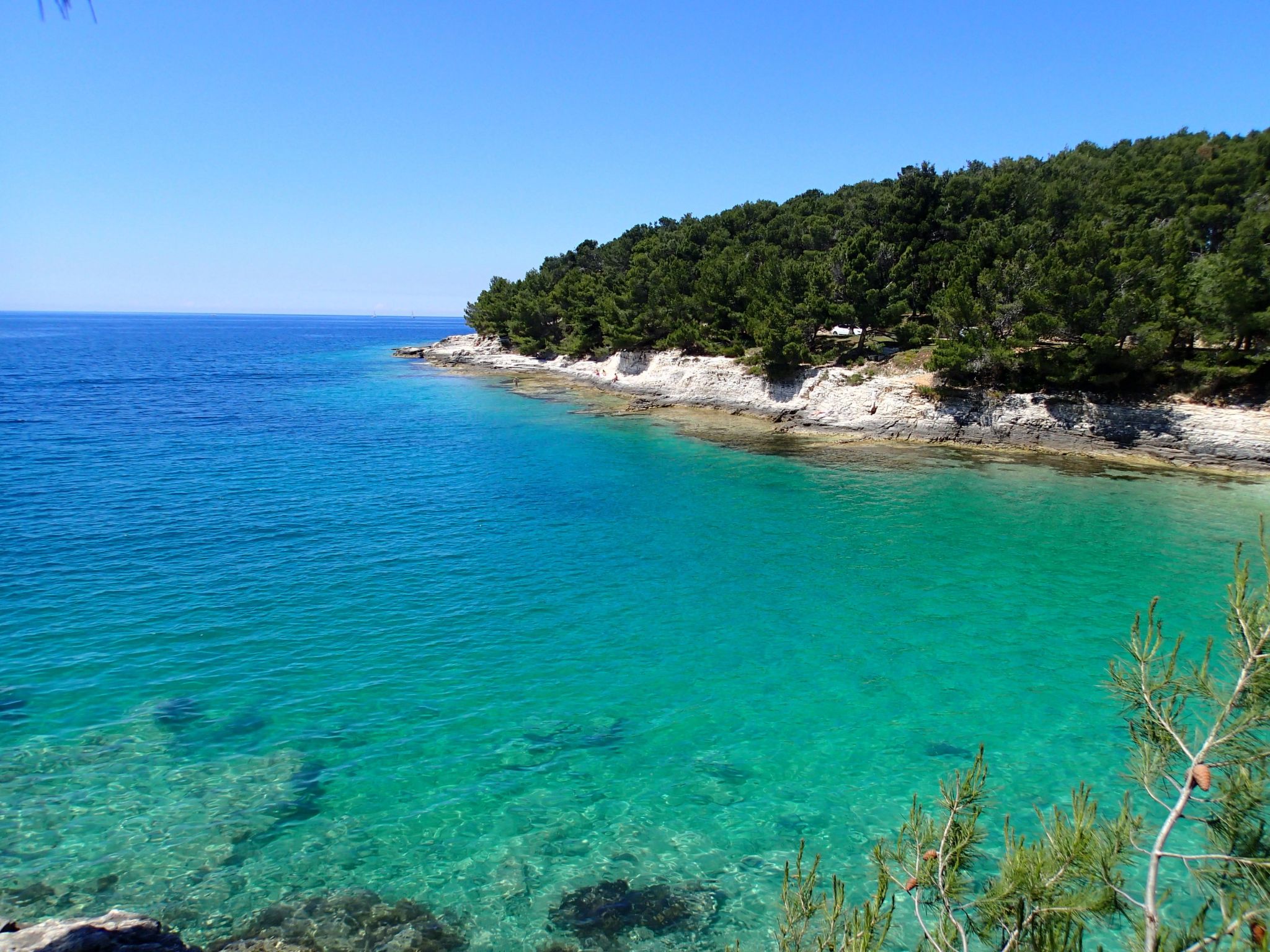 Photo of Gemütliches Studio-Apartment