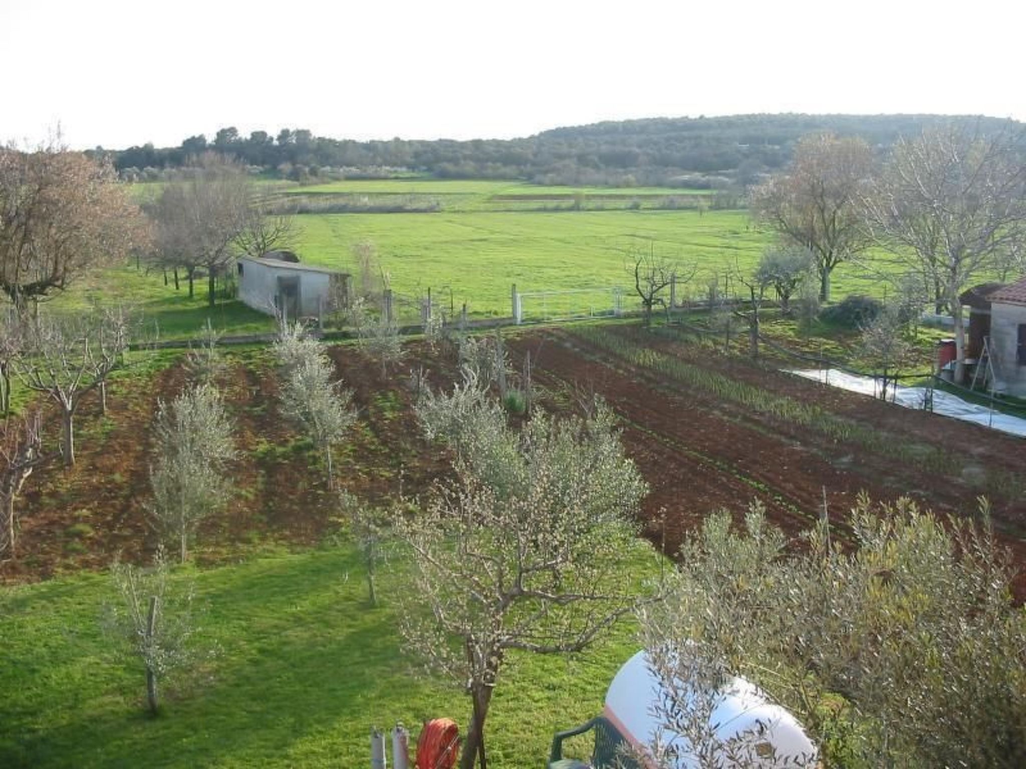 Apartment in Pula, Kroatien mit hohen Gästebewertungen-Binnen