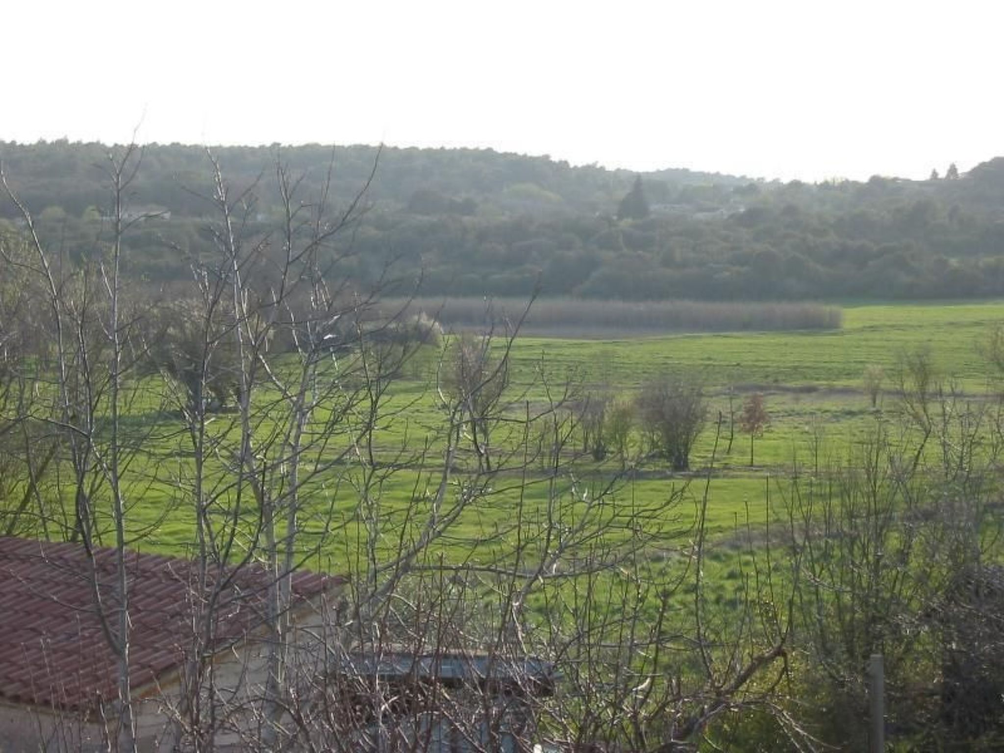 Apartment in Pula, Kroatien mit hohen Gästebewertungen-Binnen