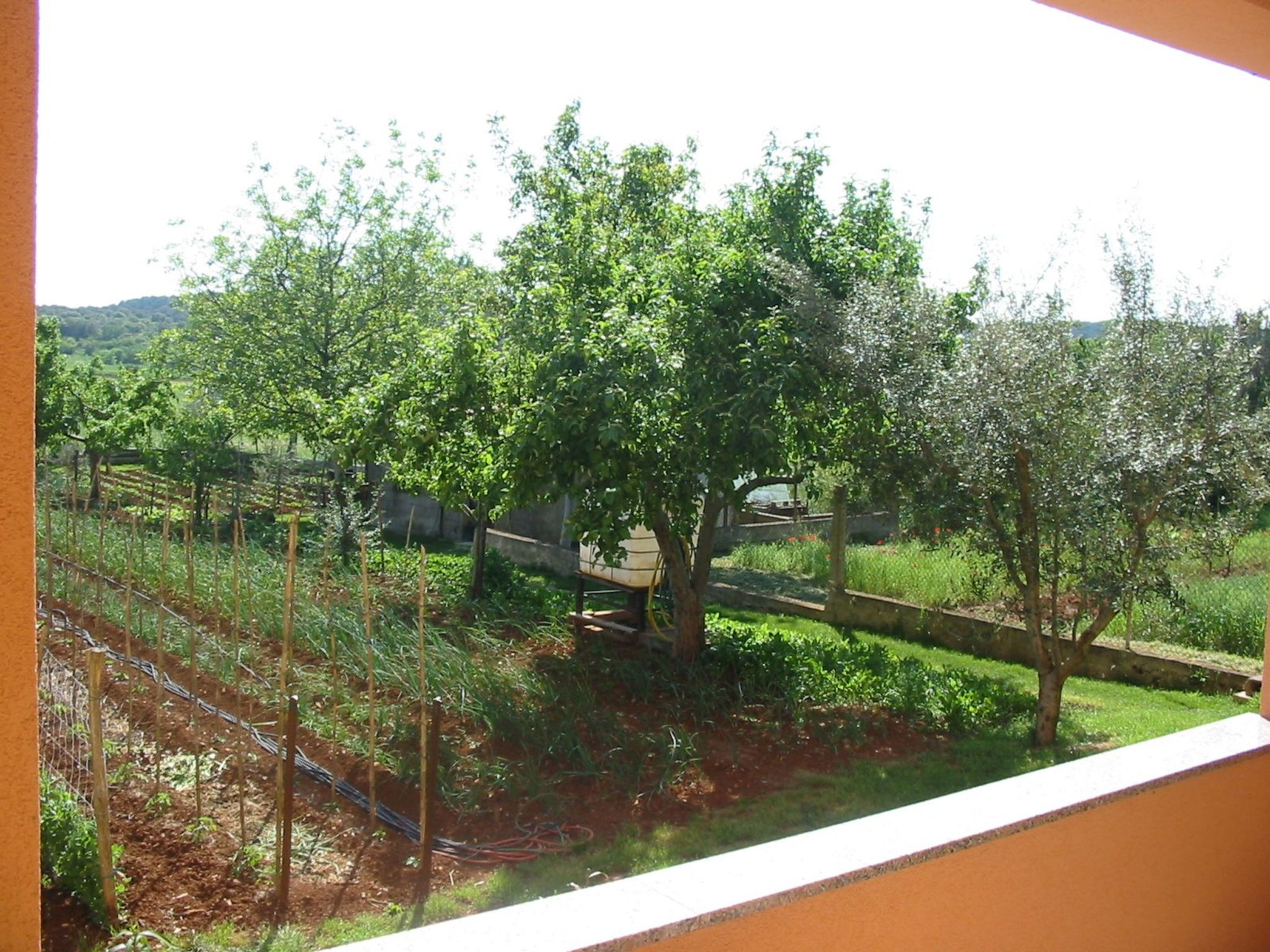 Apartment in Pula, Kroatien mit hohen Gästebewertungen-Binnen