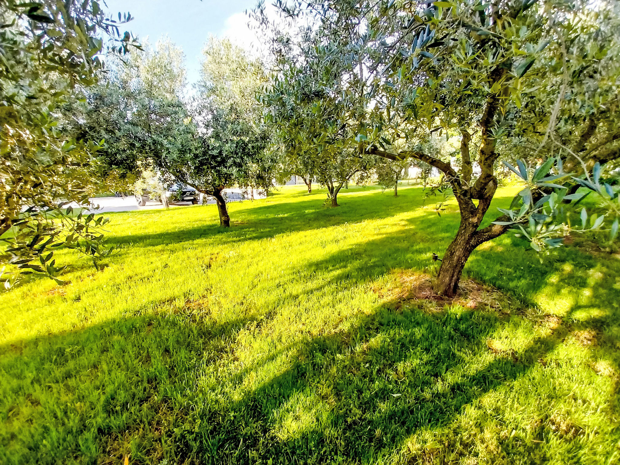 Photo of Hacienda Matea - Oase der Romantik in Strandnähe