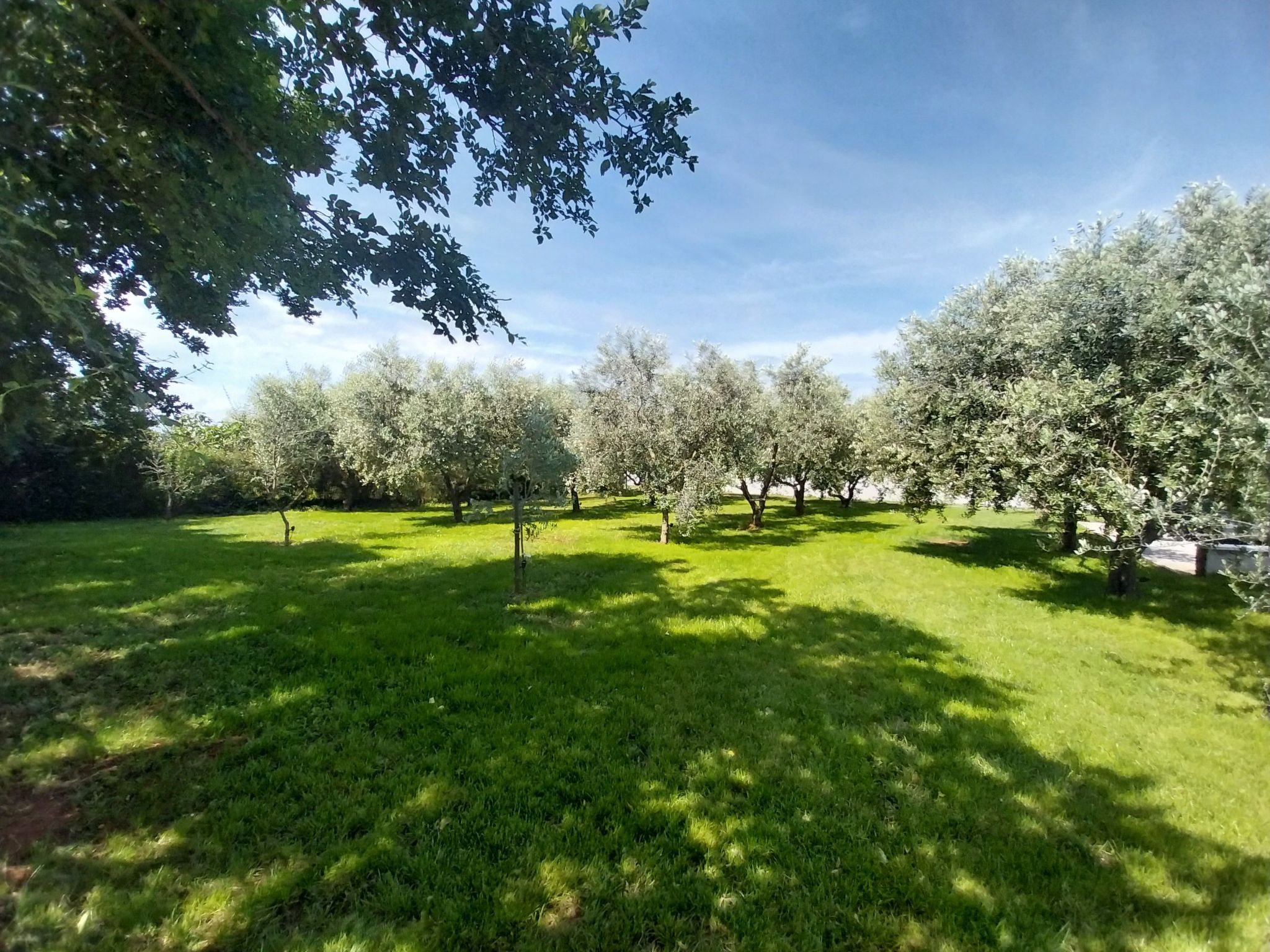 Hacienda Matea - Oase der Romantik in Strandnähe-Inside