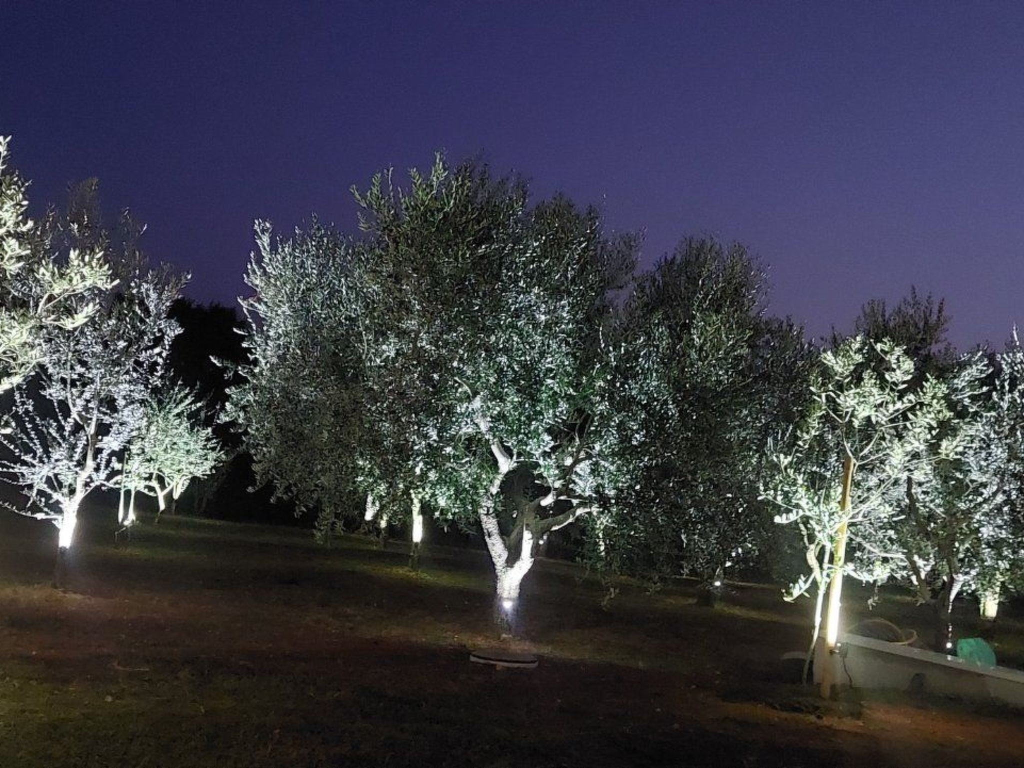 Hacienda Matea - Oase der Romantik in Strandnähe-Inside