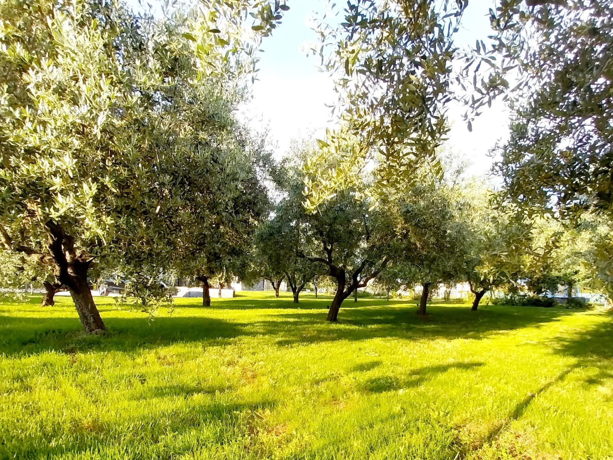 Hacienda Matea - Oase der Romantik in Strandnähe-Inside