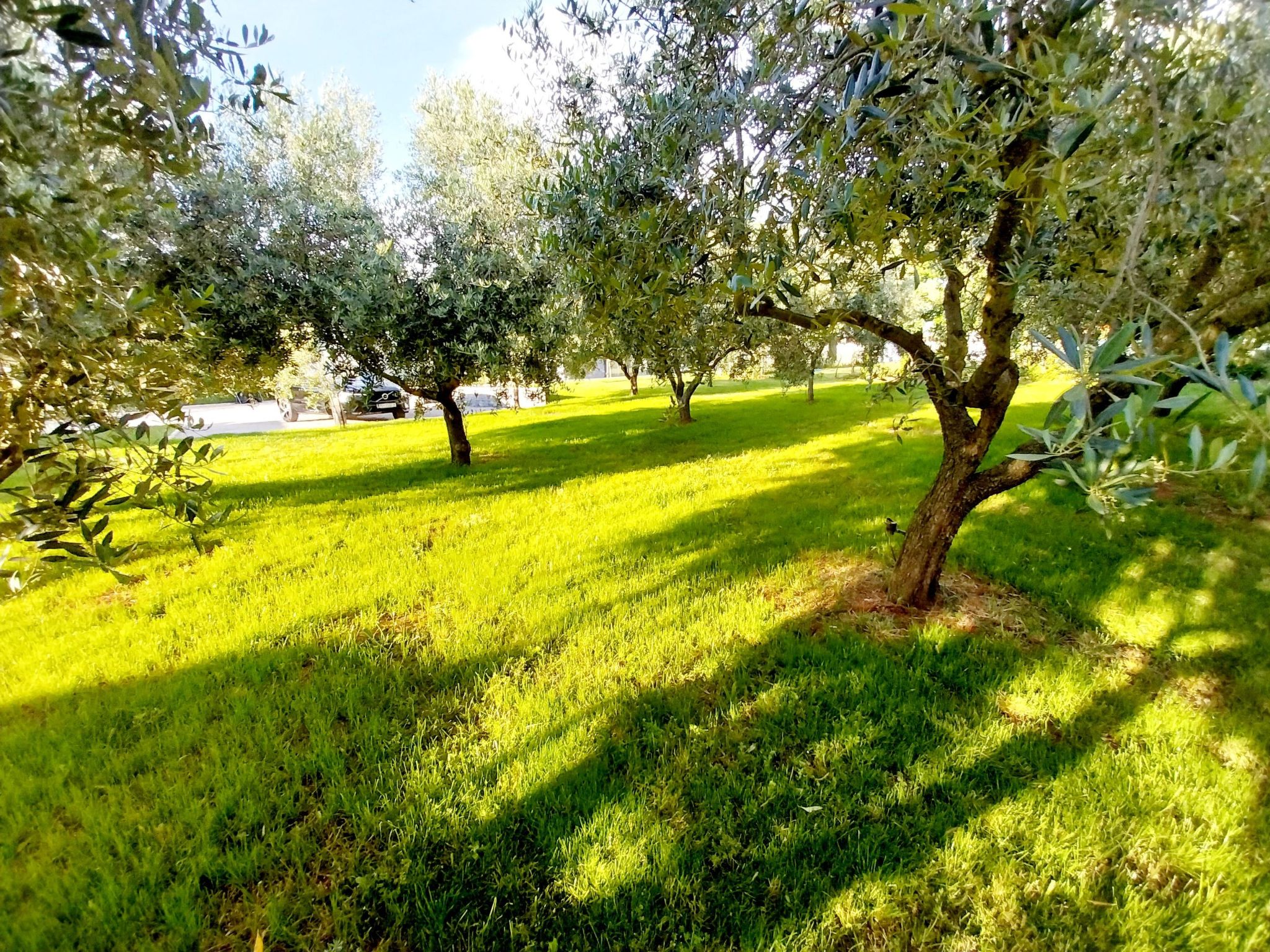 Hacienda Matea - Oase der Romantik in Strandnähe-Inside