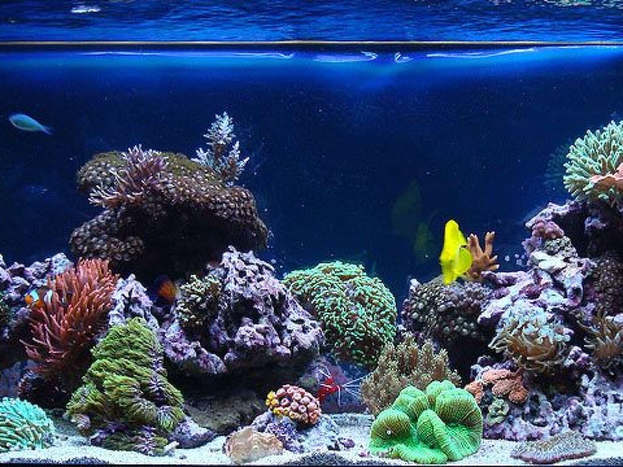 Hacienda Matea - Oase der Romantik in Strandnähe-Inside