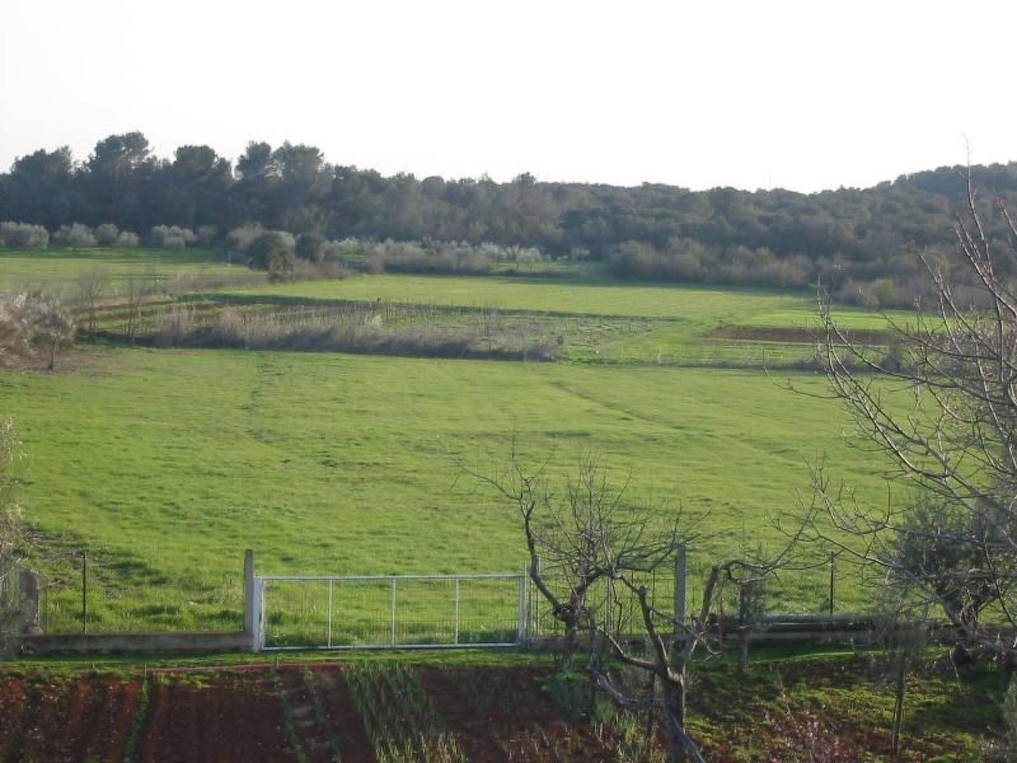 Apartment in Pula, Kroatien mit hohen Gästebewertungen-Binnen