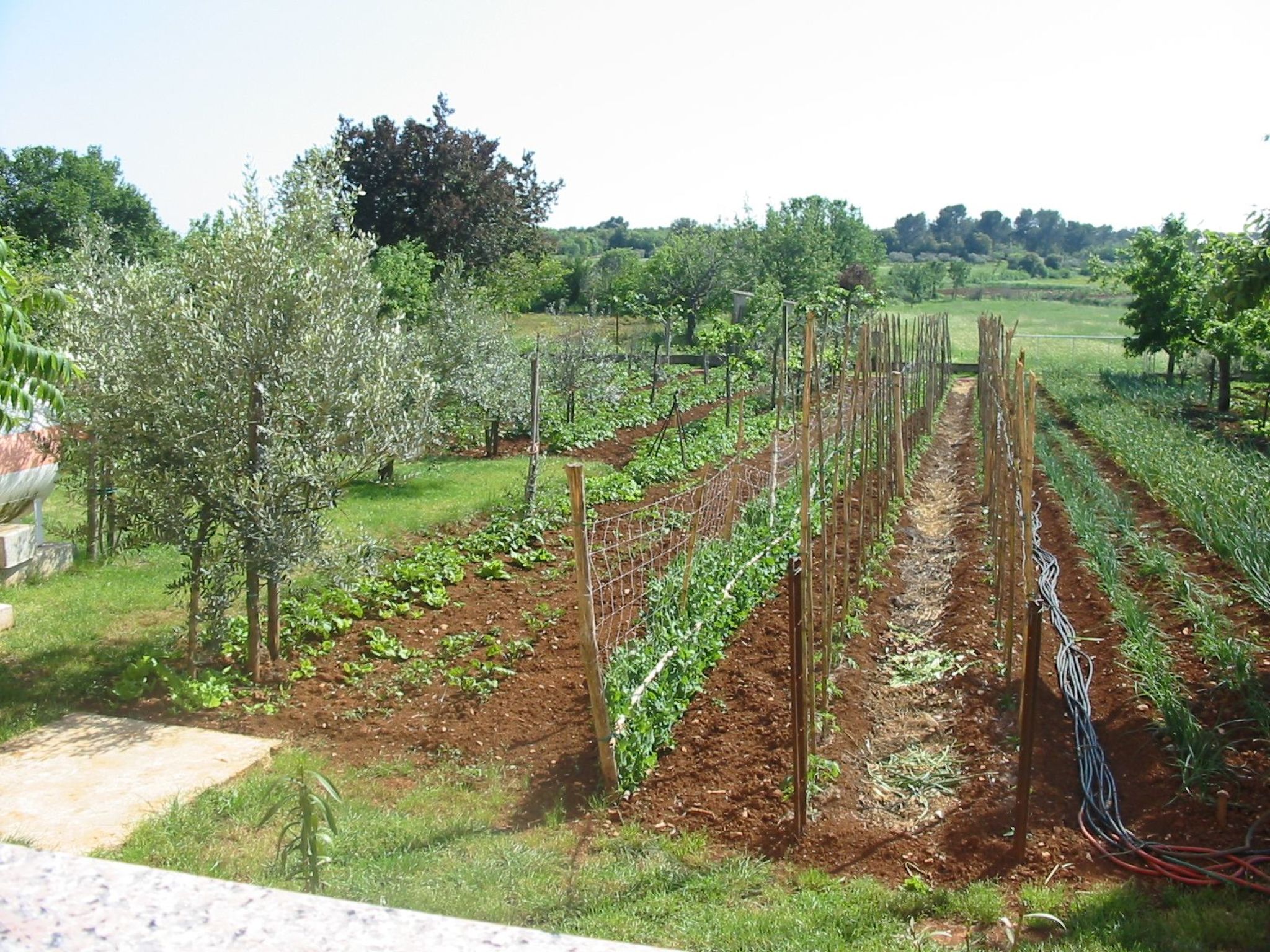 Apartment in Pula, Kroatien mit hohen Gästebewertungen-Binnen