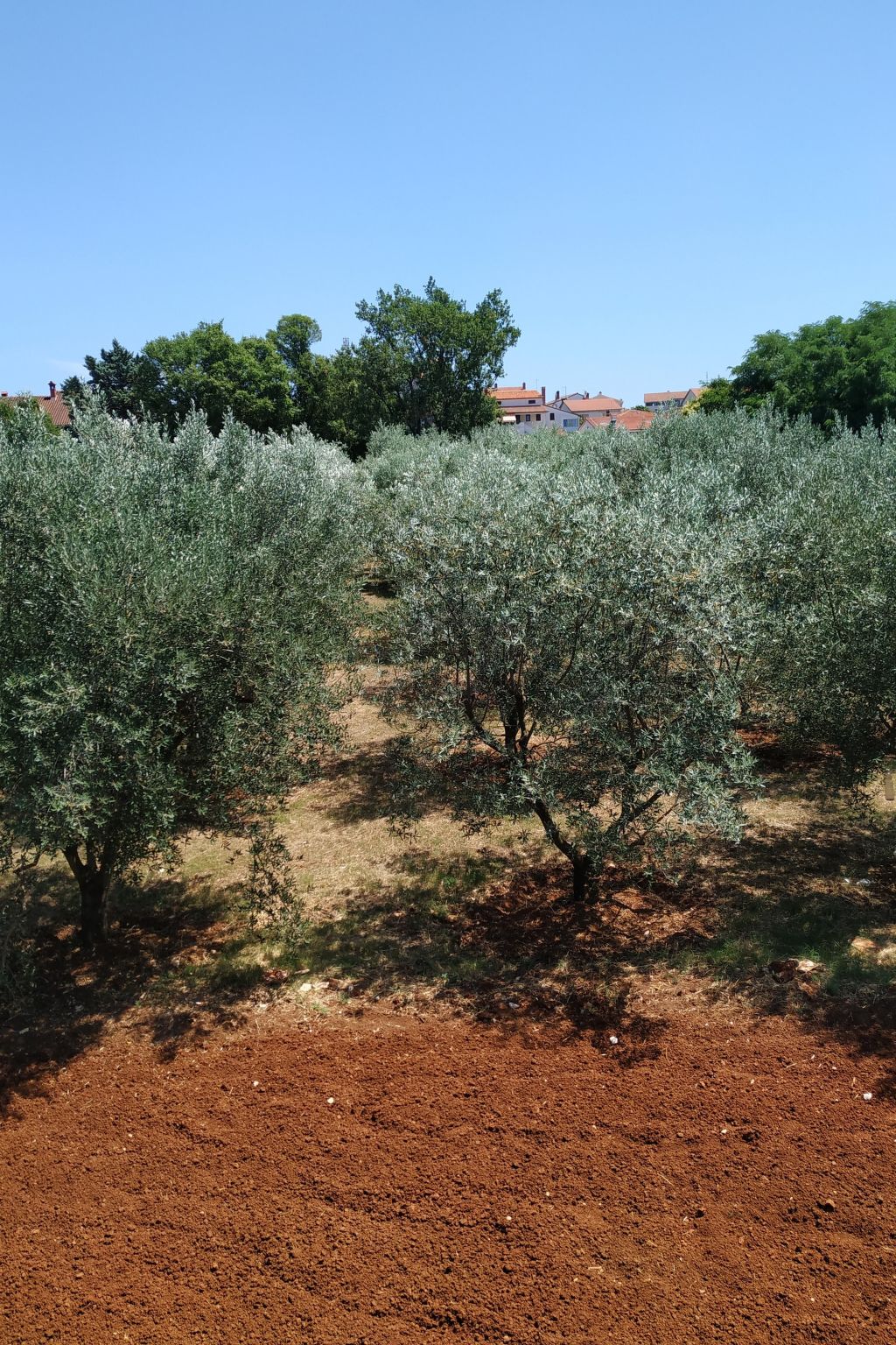 Ferienvilla mit privatem Pool-Binnen