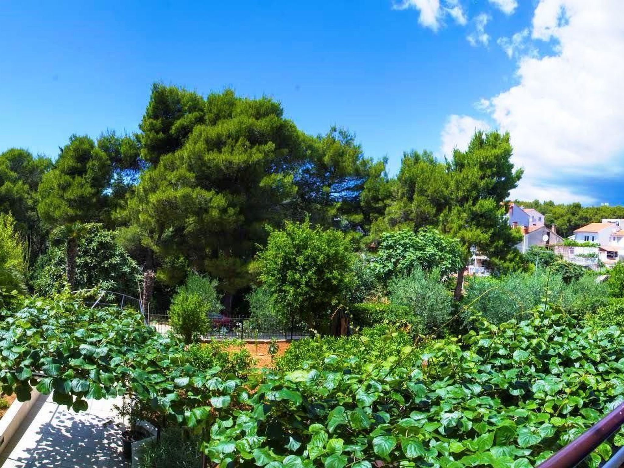 Mit Blick auf das Wasser"-Image-tags.info