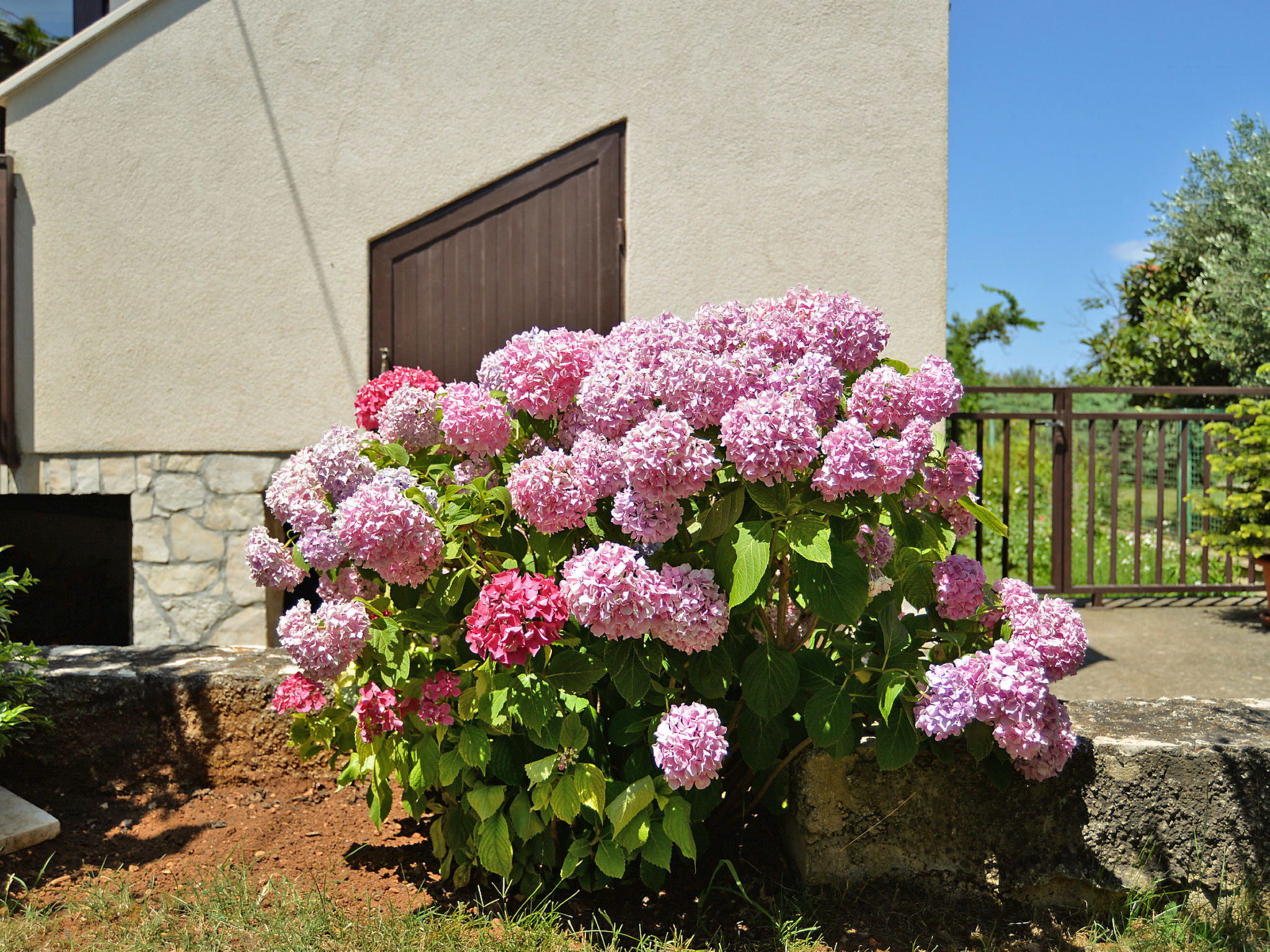 Photo of Apartment 1174