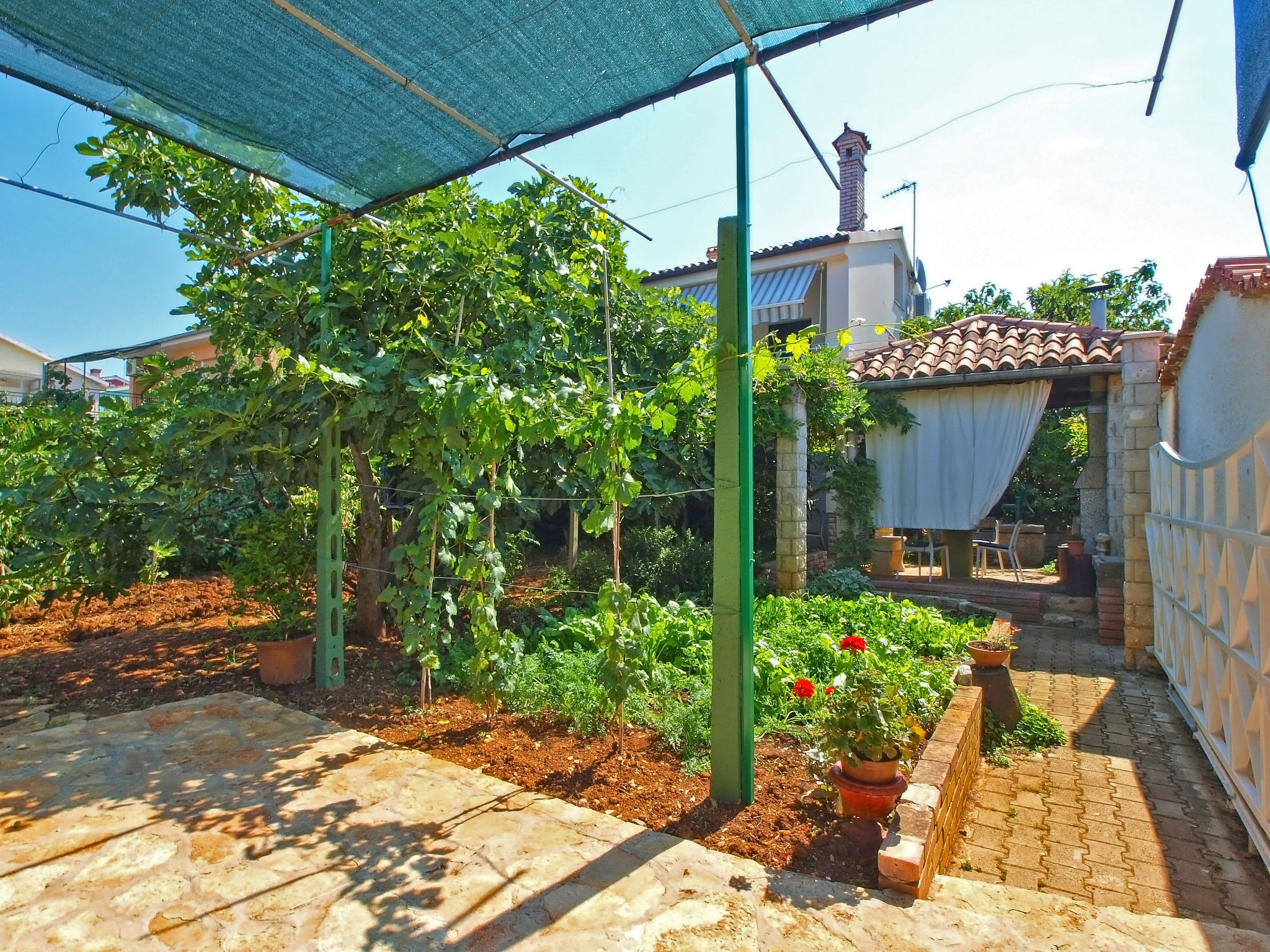 Photo of Apartment 461