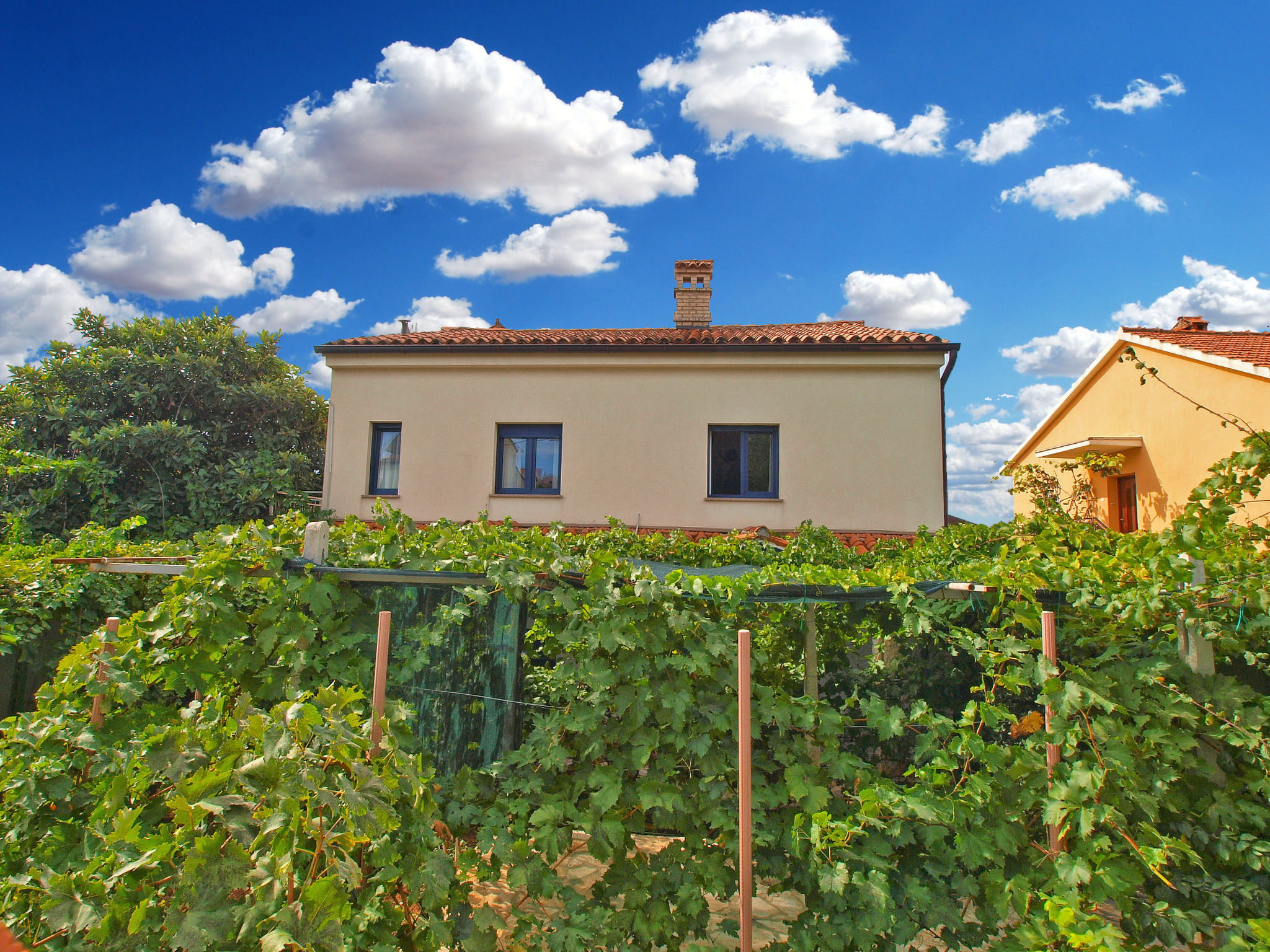 Photo of Apartment 461