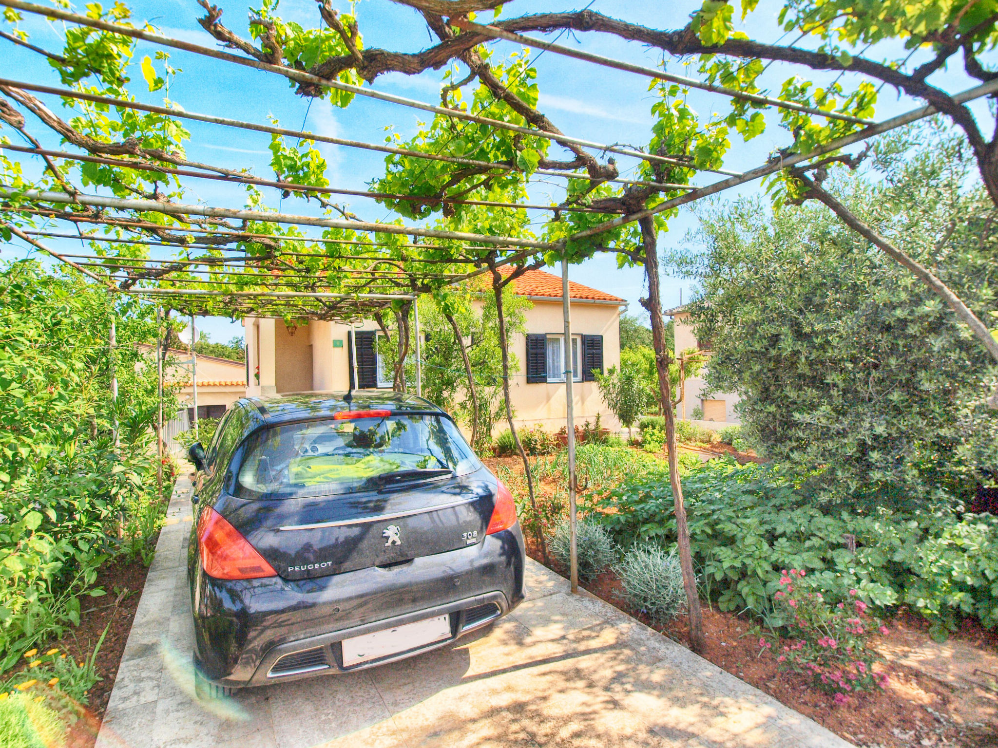 Apartment 1365 Apartment in Pula