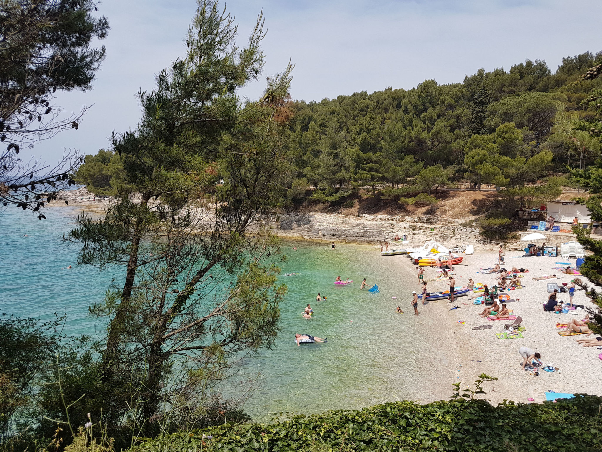 Photo of Apartment 1154