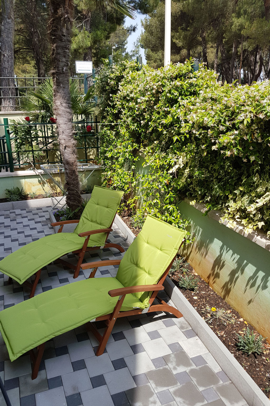 Photo of Apartment 1154