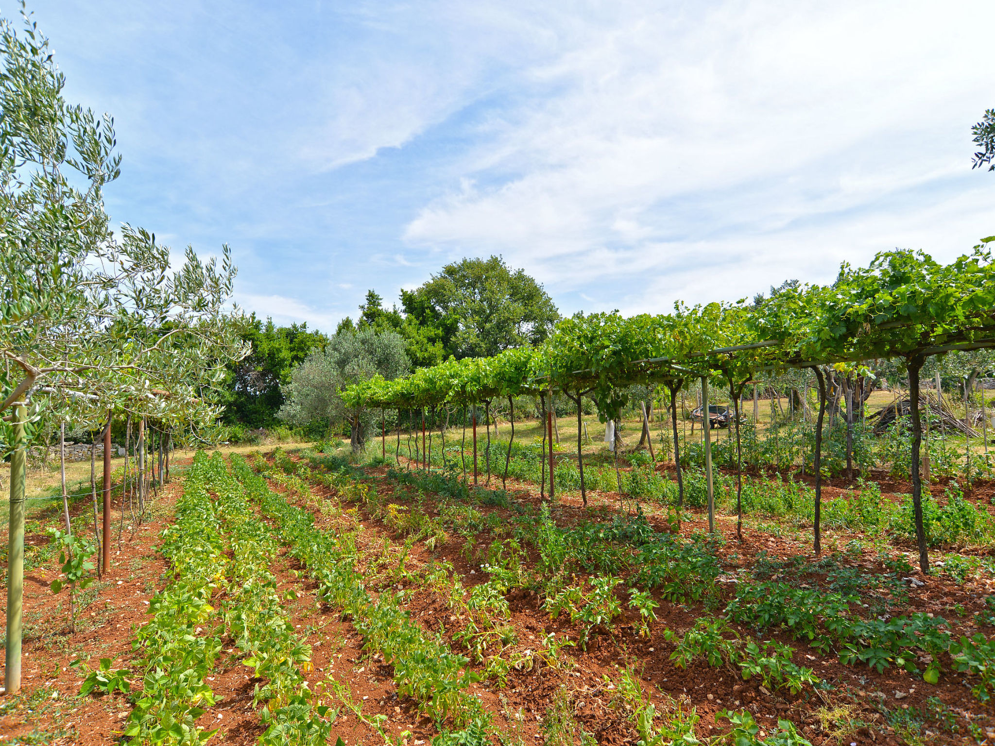 Photo of Apartment 684