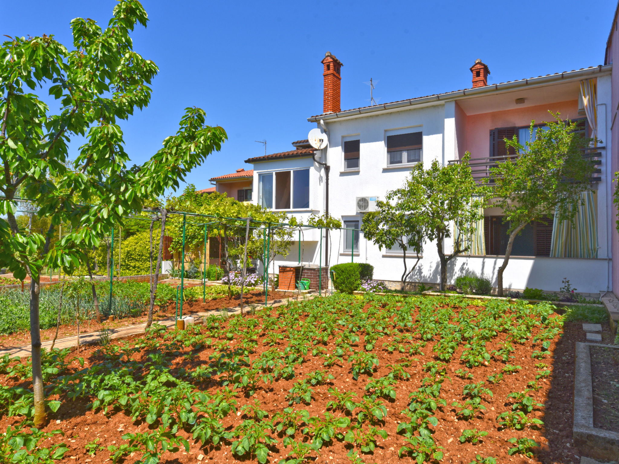 Apartment 1230 Apartment in Pula