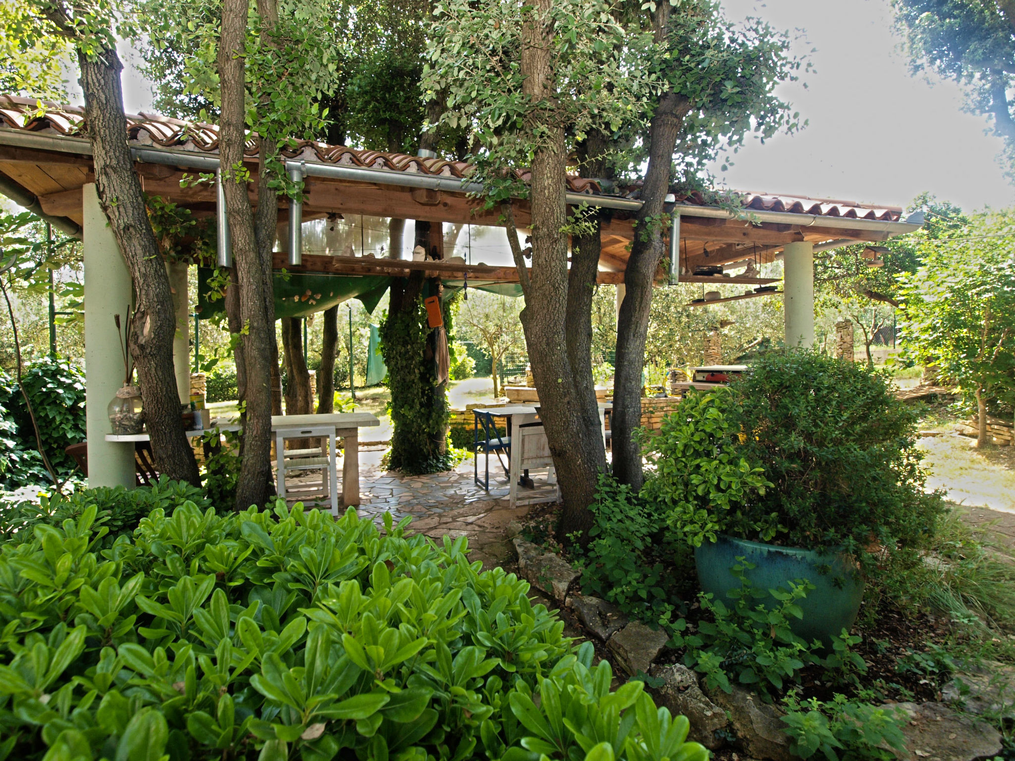 Photo of Apartment 1651