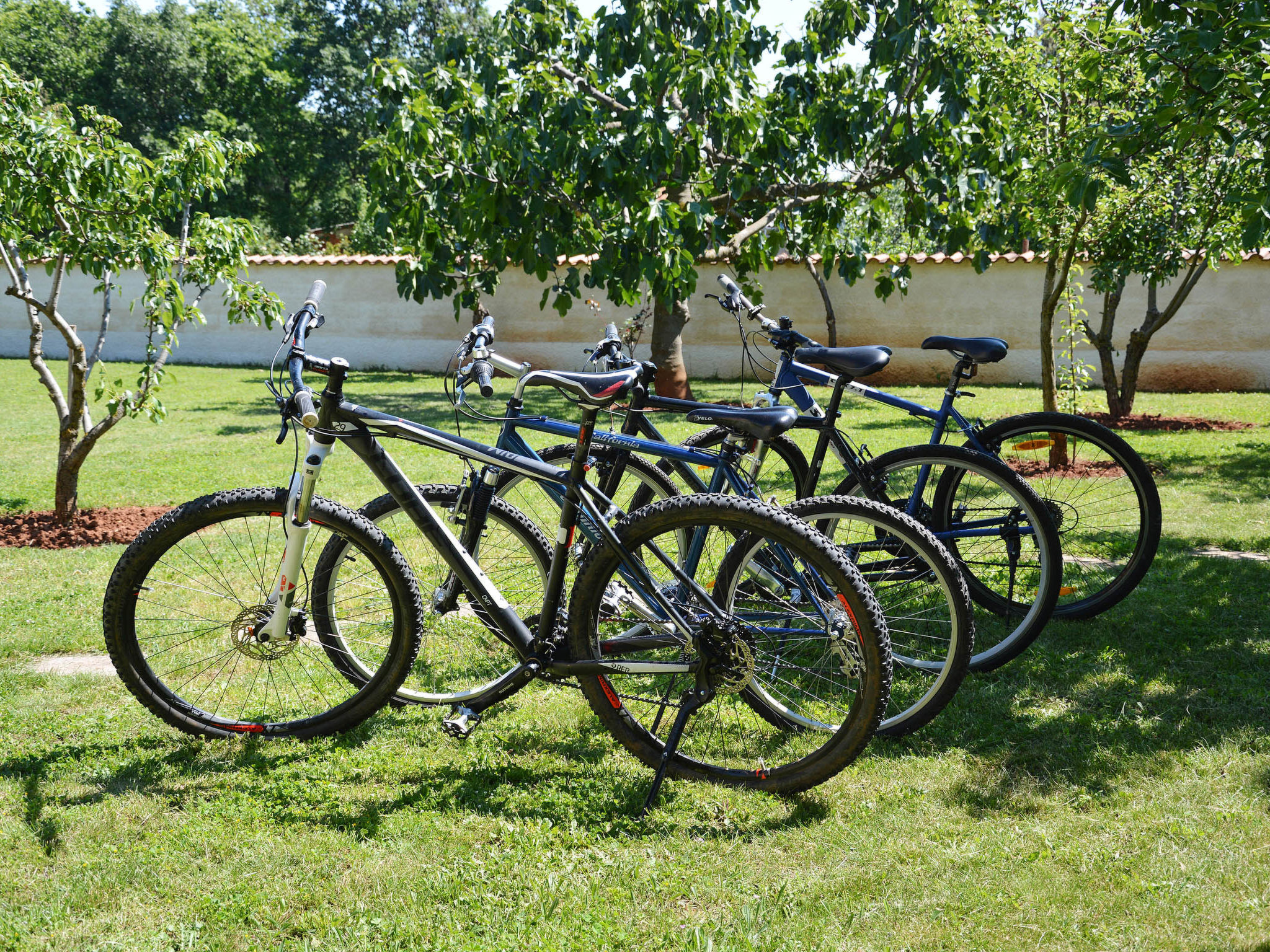 Photo of Villa Gardena