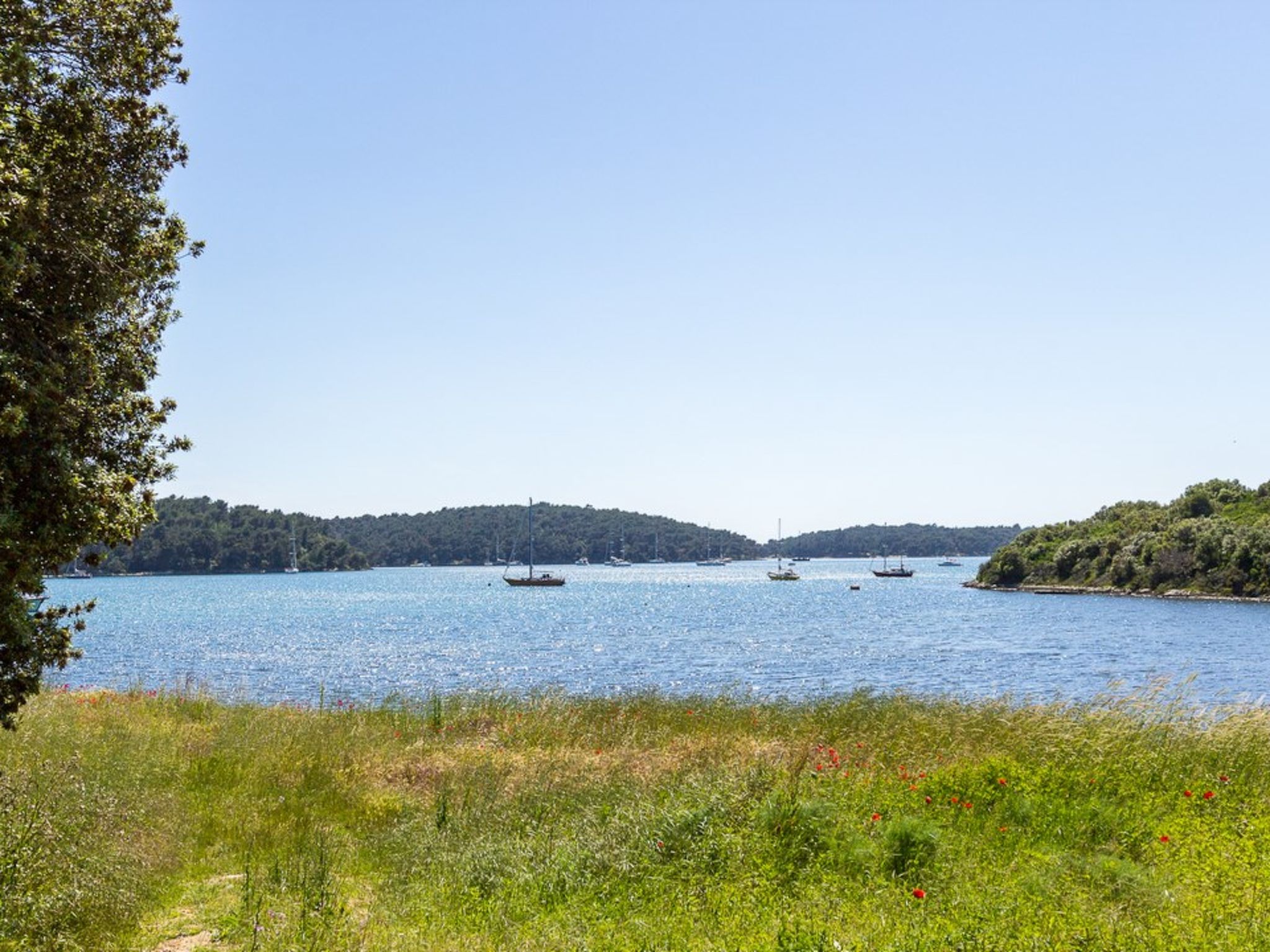 Photo of House Vinkuran