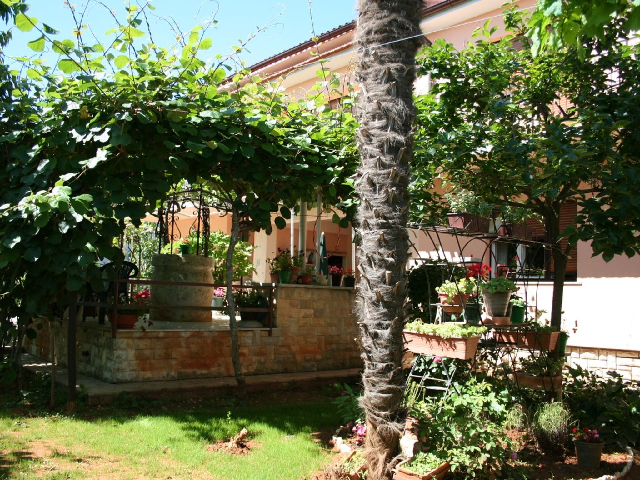 Photo of Casa Ines