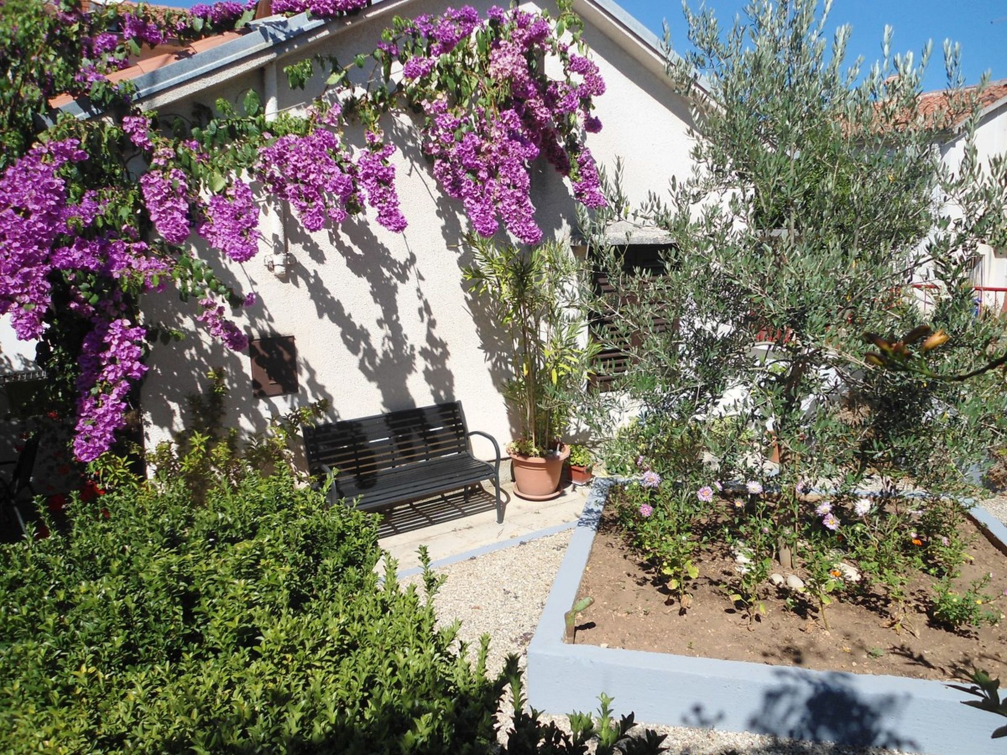 Photo of Casa Aurora